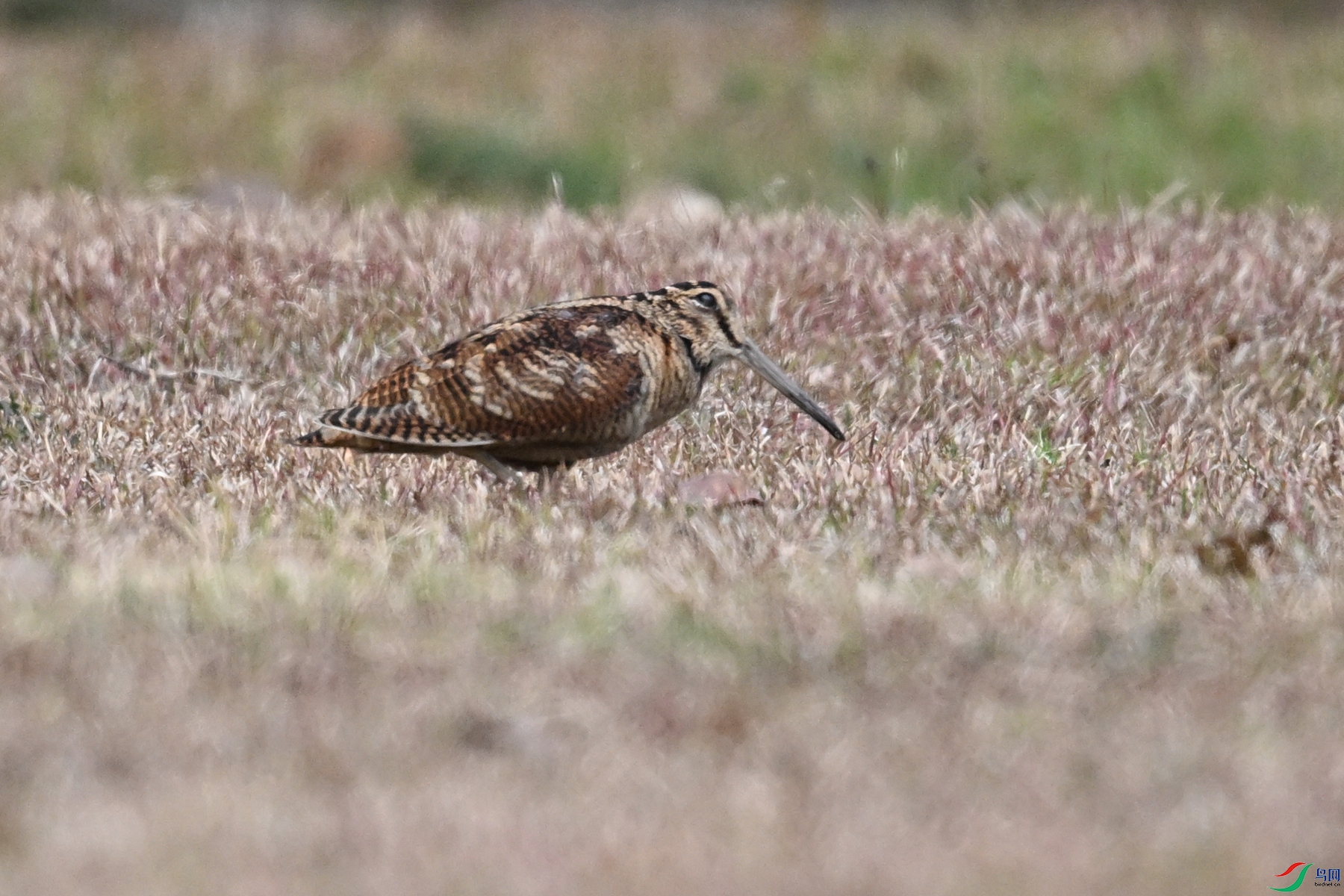DSC_8312.JPG