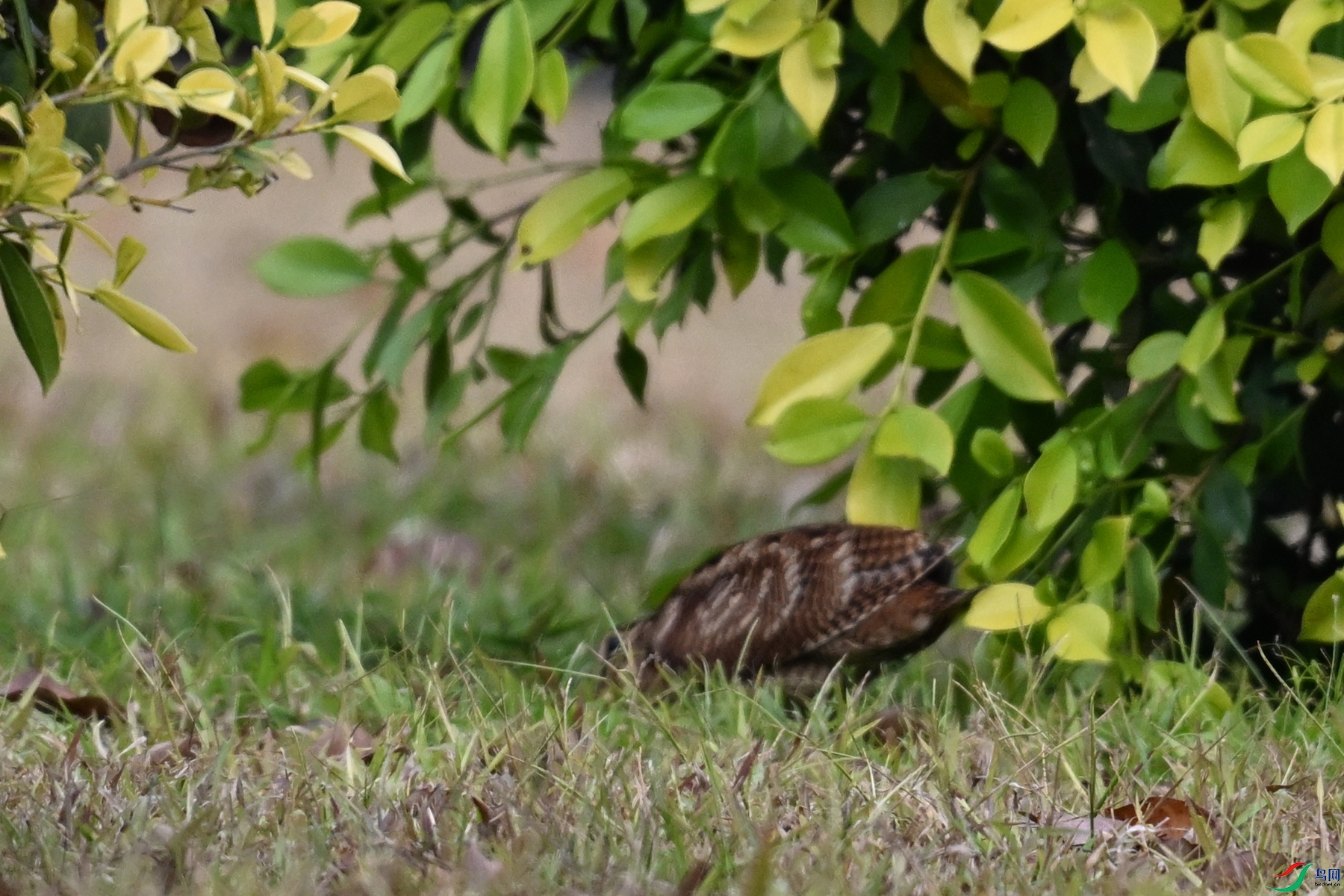 DSC_8356.JPG