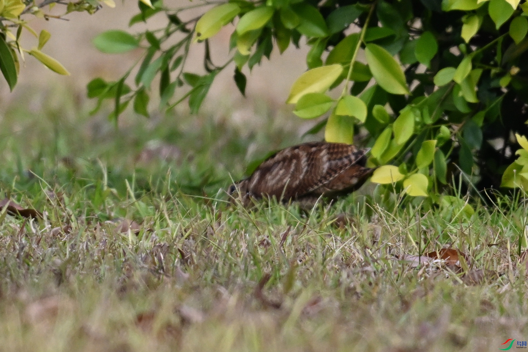 DSC_8357.JPG