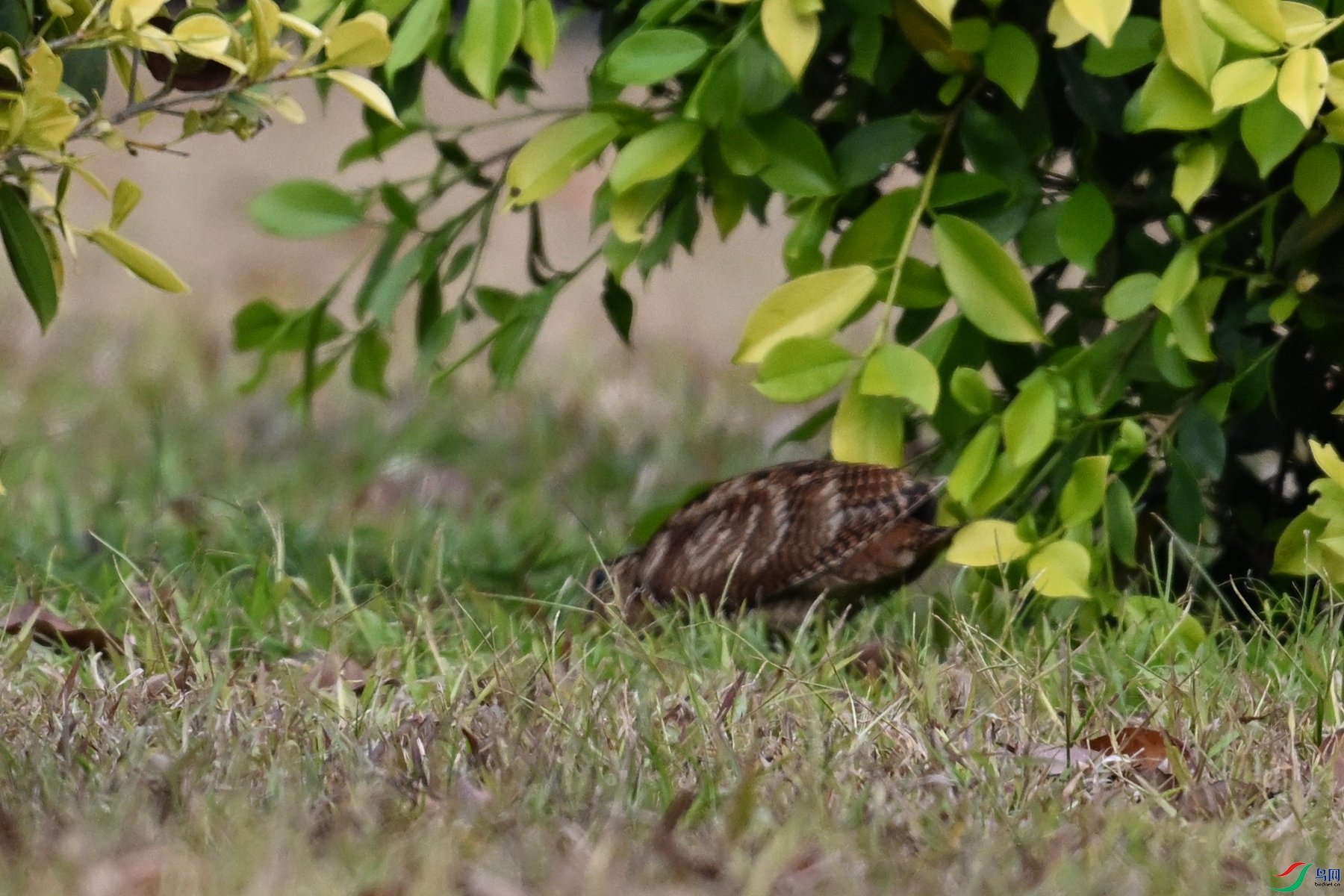 DSC_8358.JPG