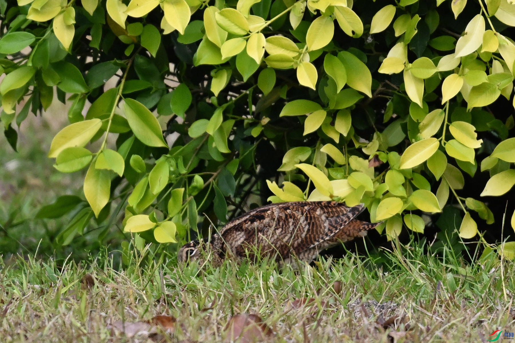 DSC_8360.JPG
