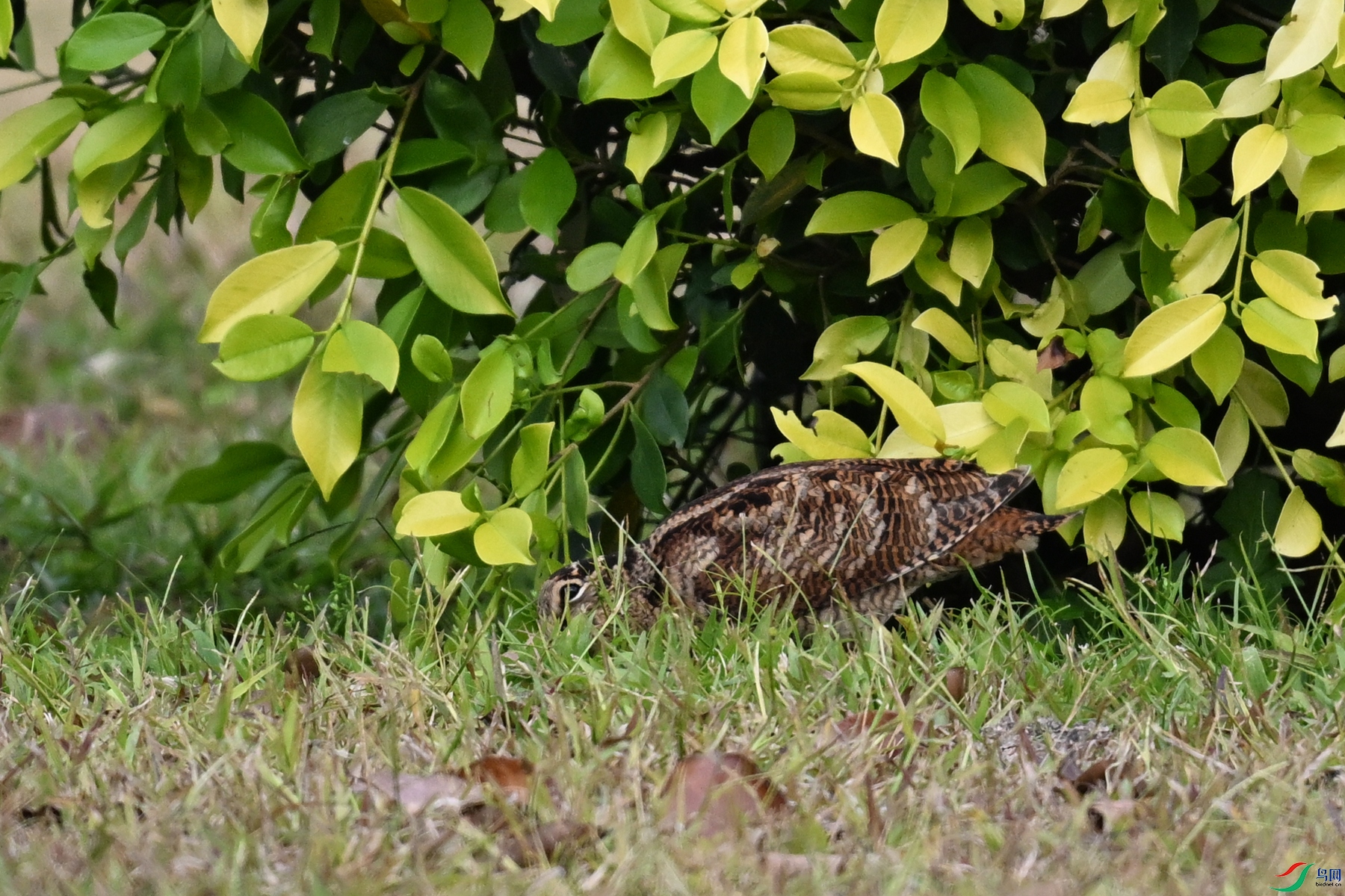 DSC_8362.JPG