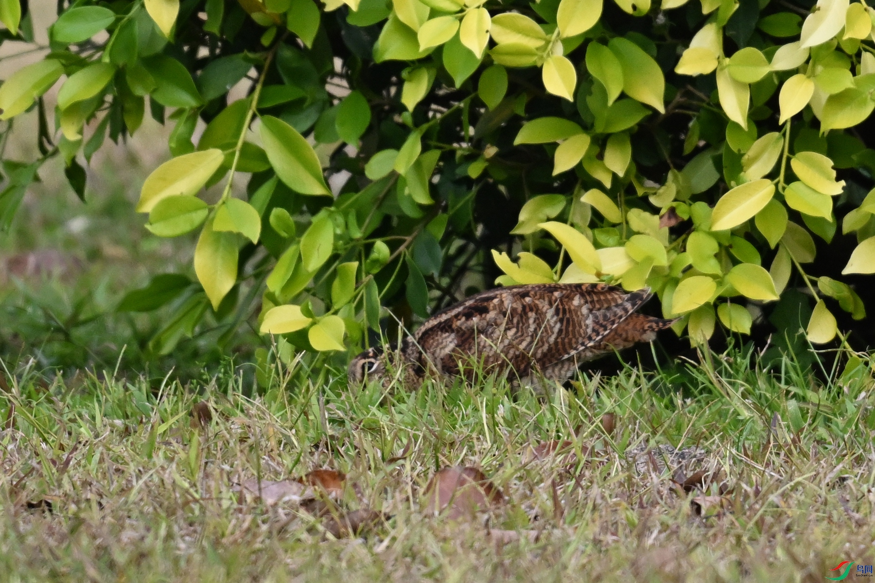 DSC_8359.JPG