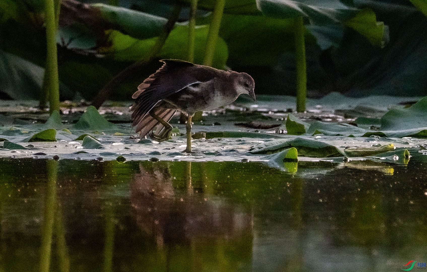 DSC_5511.jpg