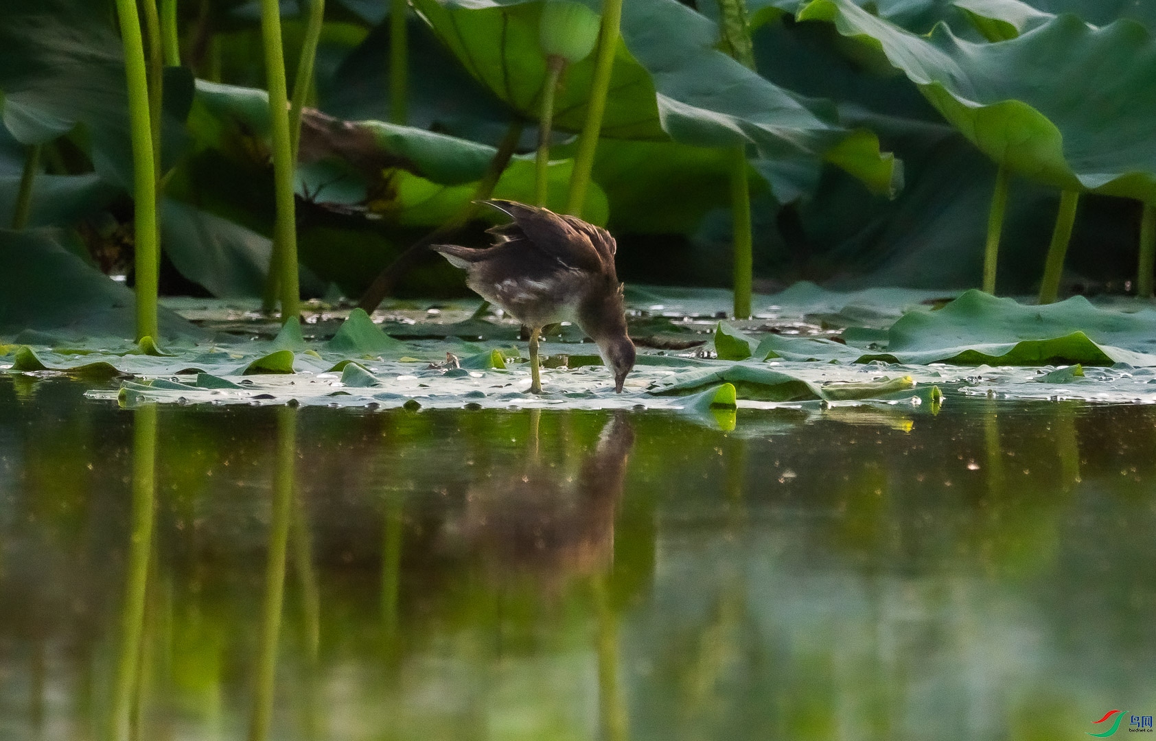 DSC_5535.jpg