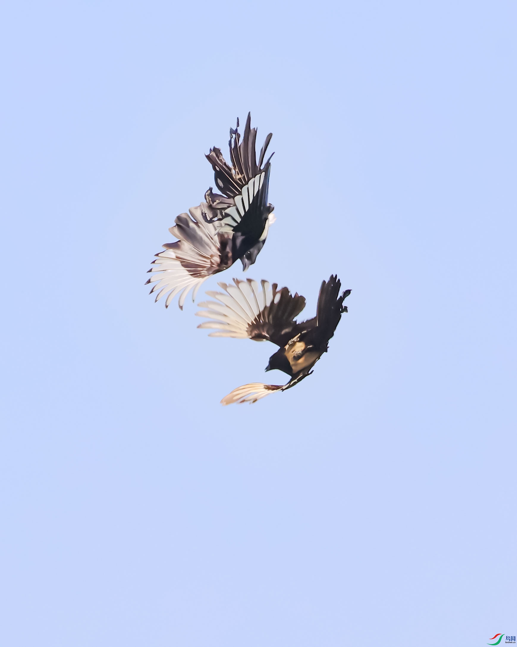 9S8A1617.jpg