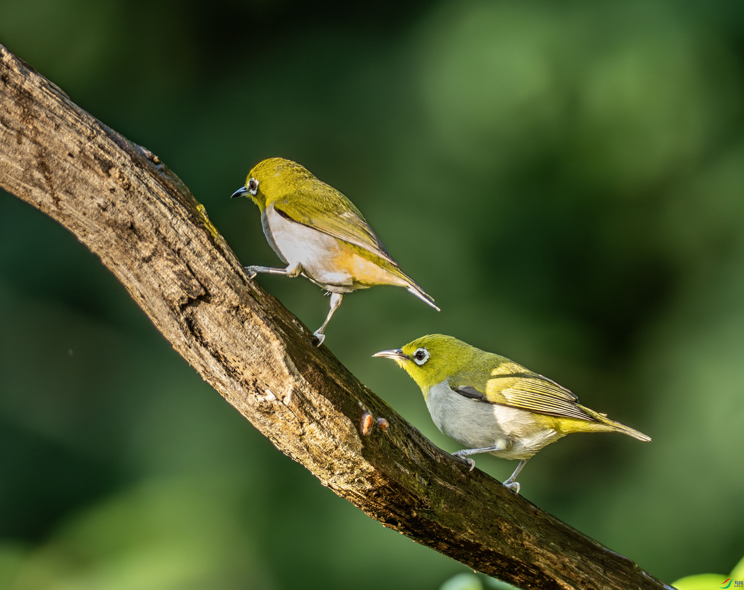 �Ҹ�������-01-15.jpg
