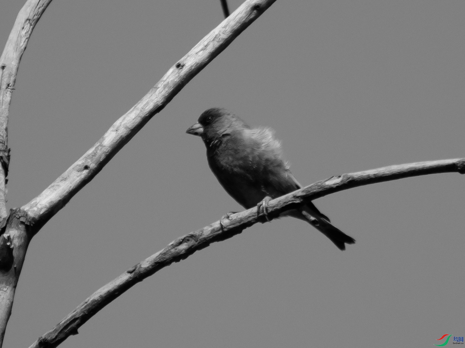 P4208197.jpg