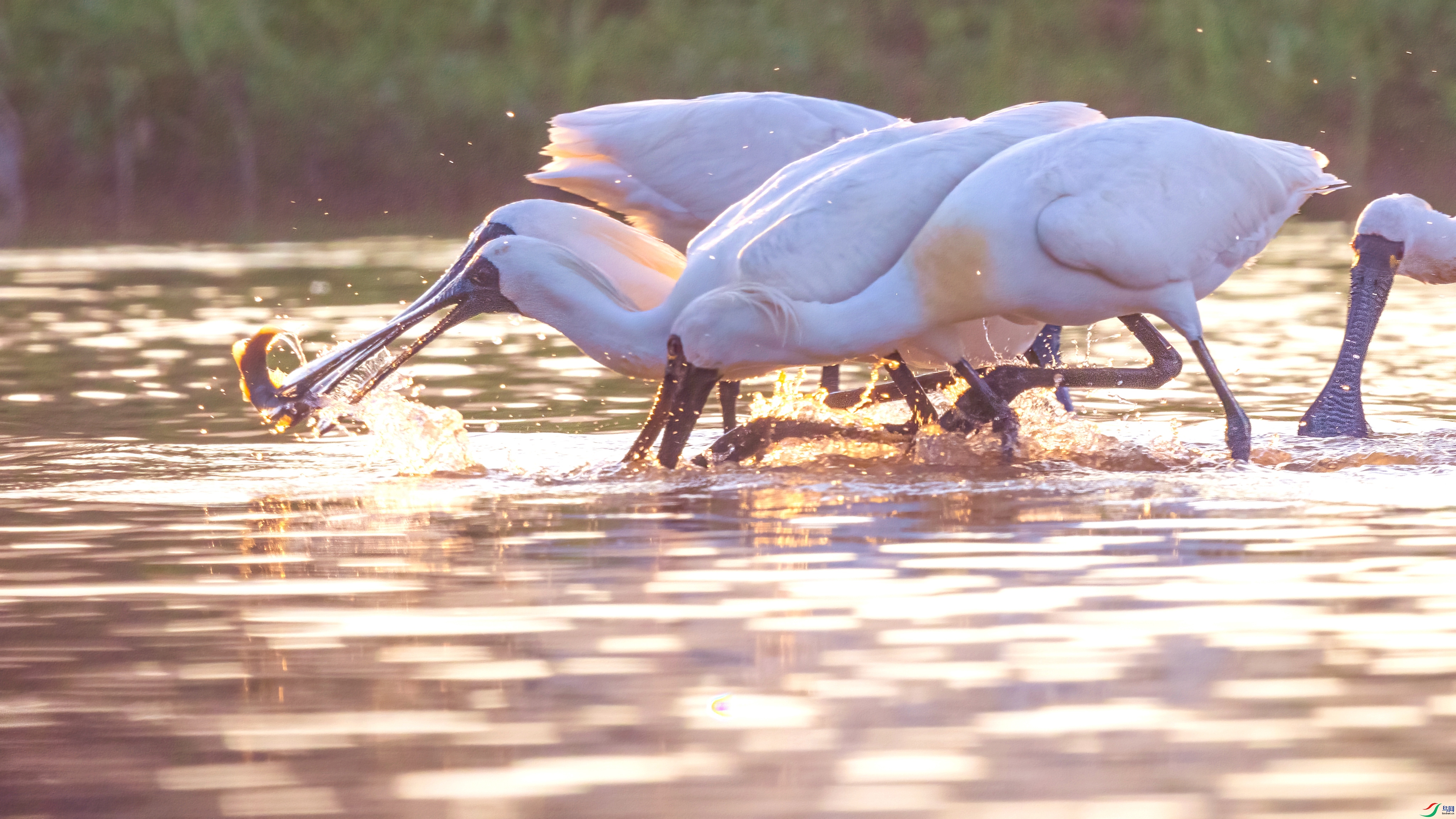 845A3643.jpg