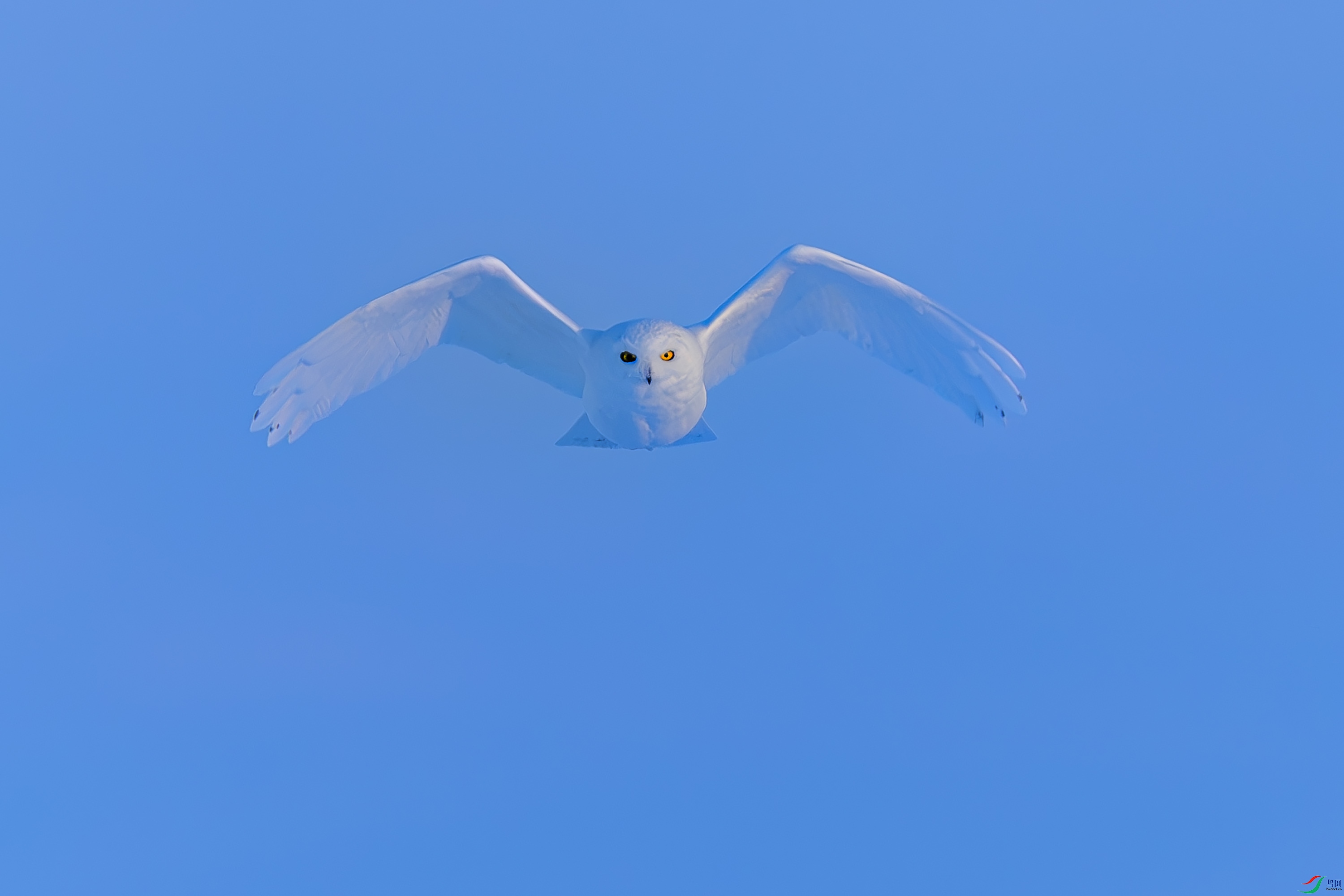 _72A1928-����ǿ-NR.JPG