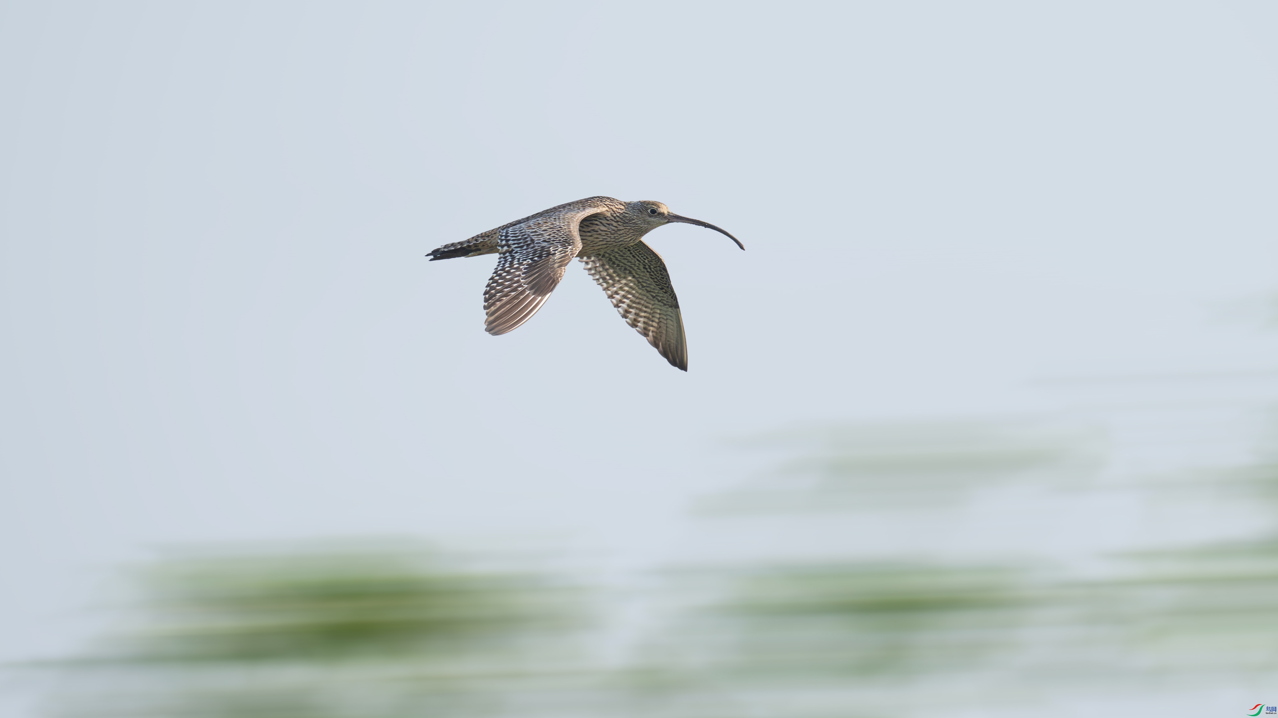 DSC_0109.jpg