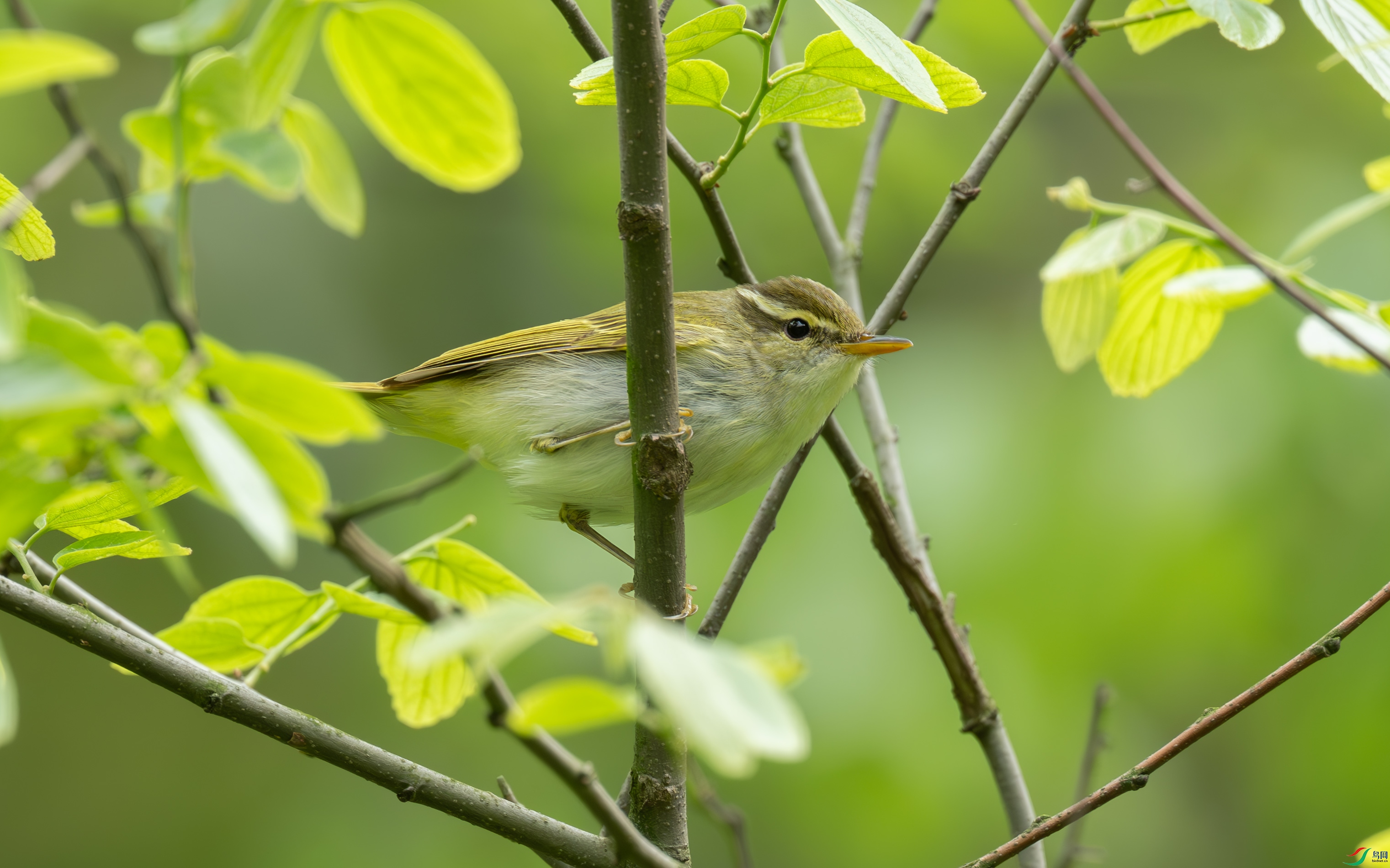 DSC_7887-1.jpg