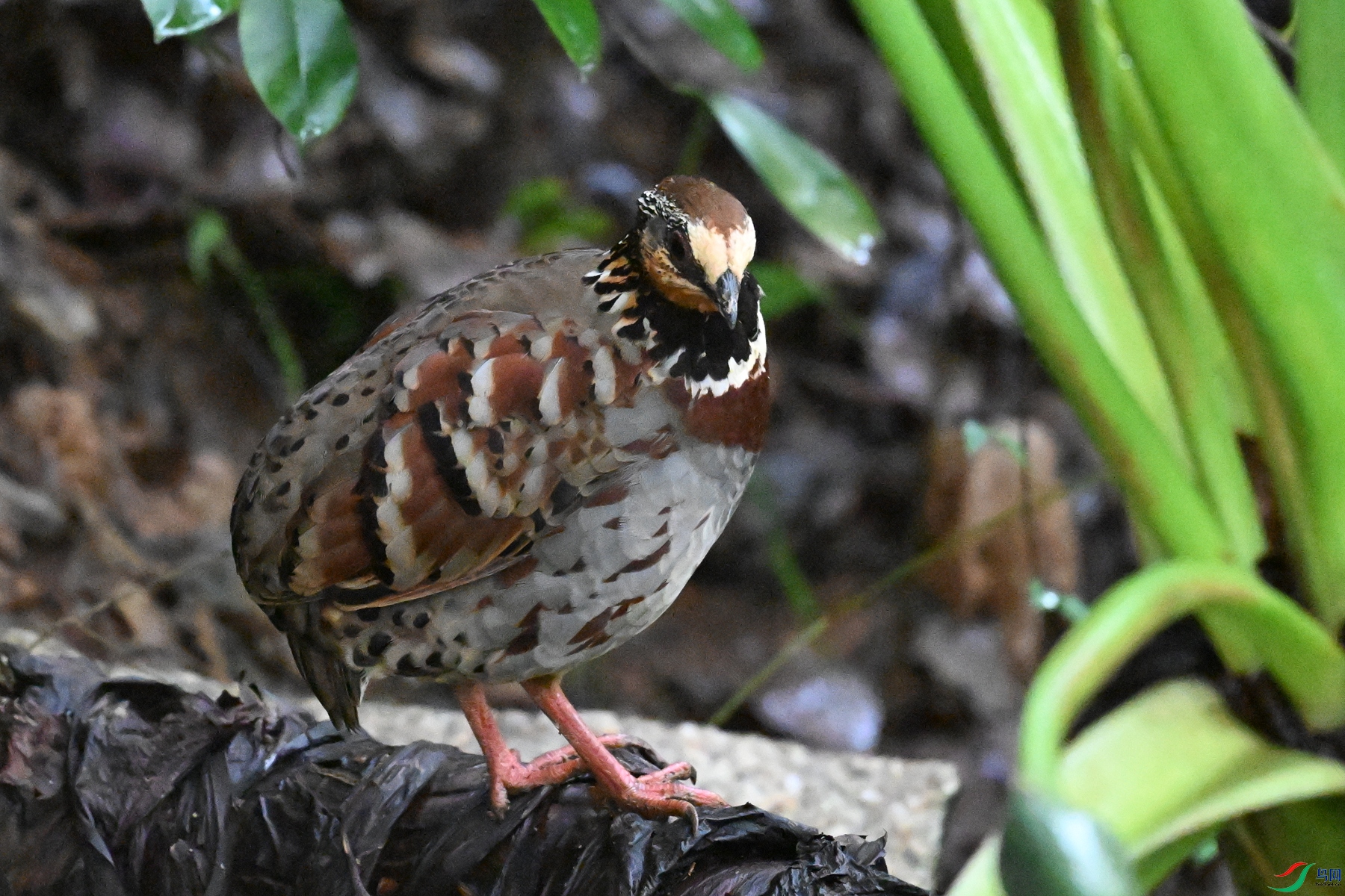 DSC_3566.JPG