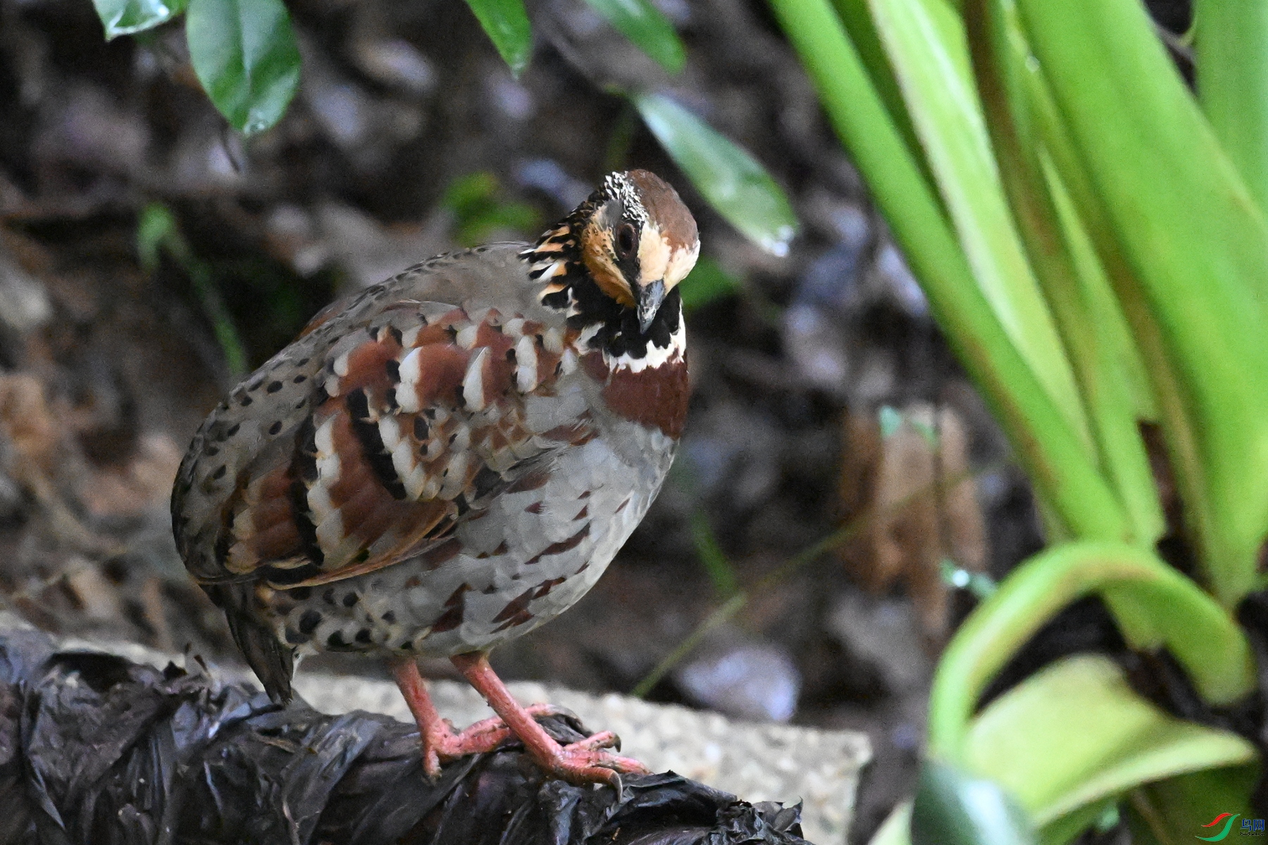 DSC_3568.JPG