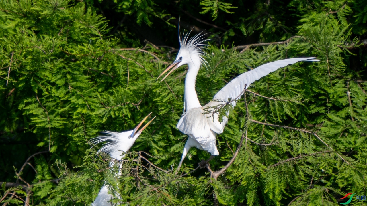 image_1777903981424.jpg