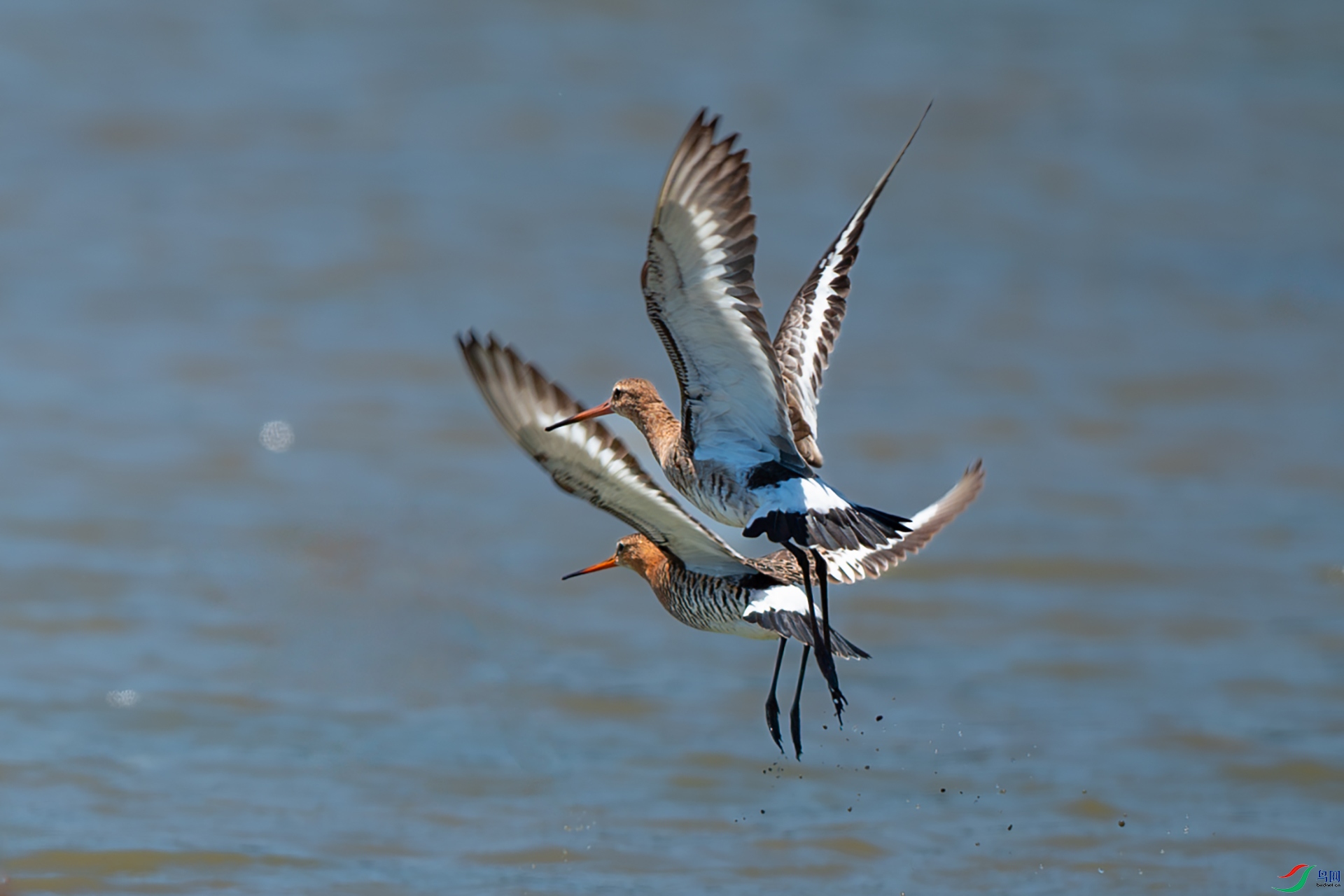 DSC_7324.jpg
