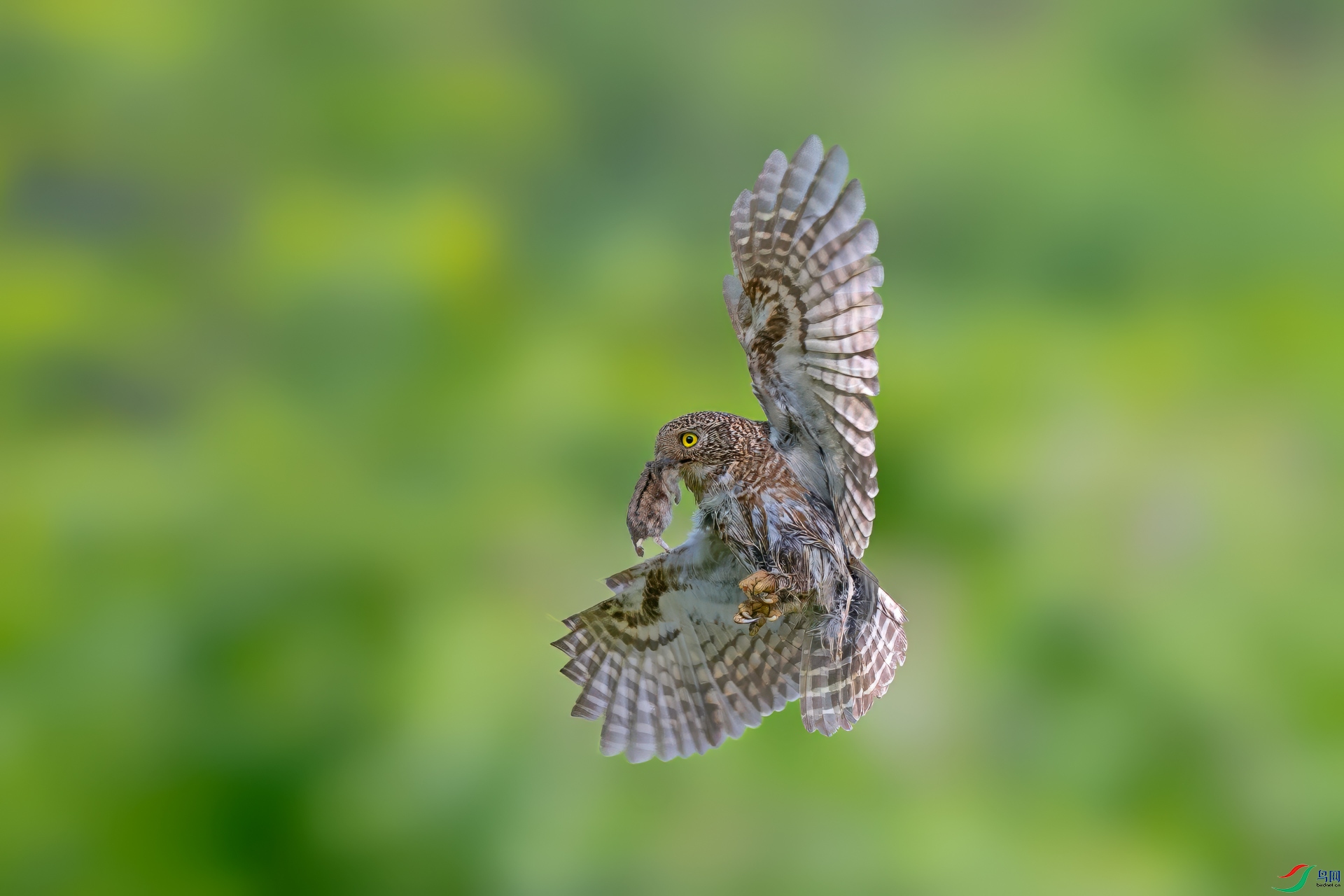 _86A3583-�༭.jpg