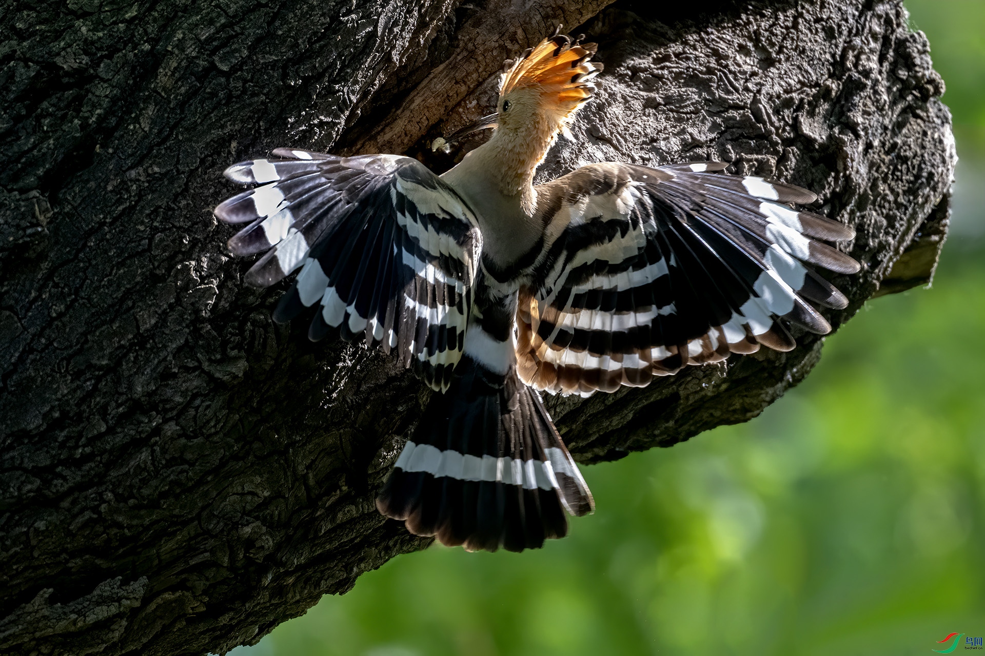 DSC_7526-.jpg