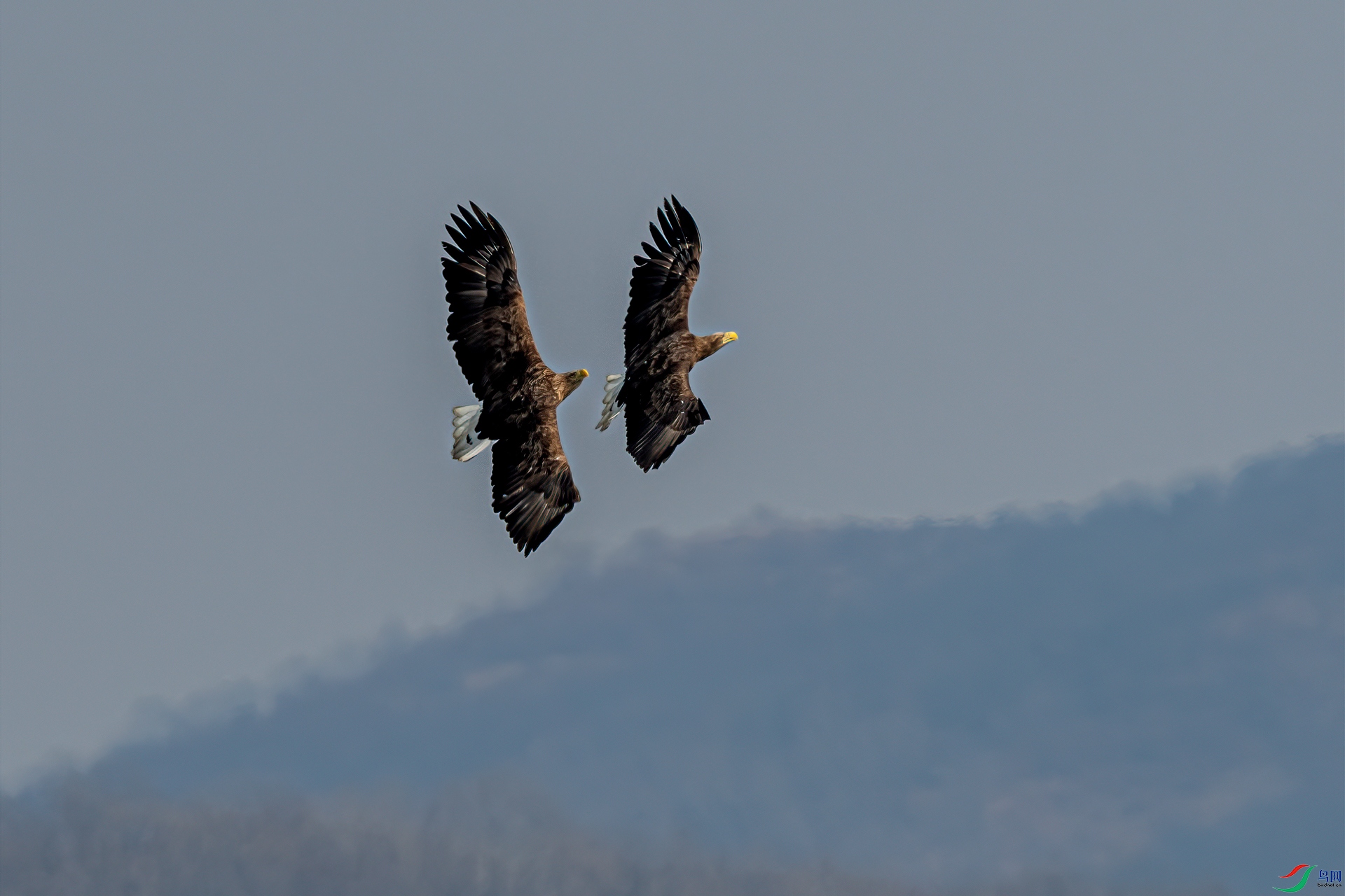 _DSC1206-11.jpg