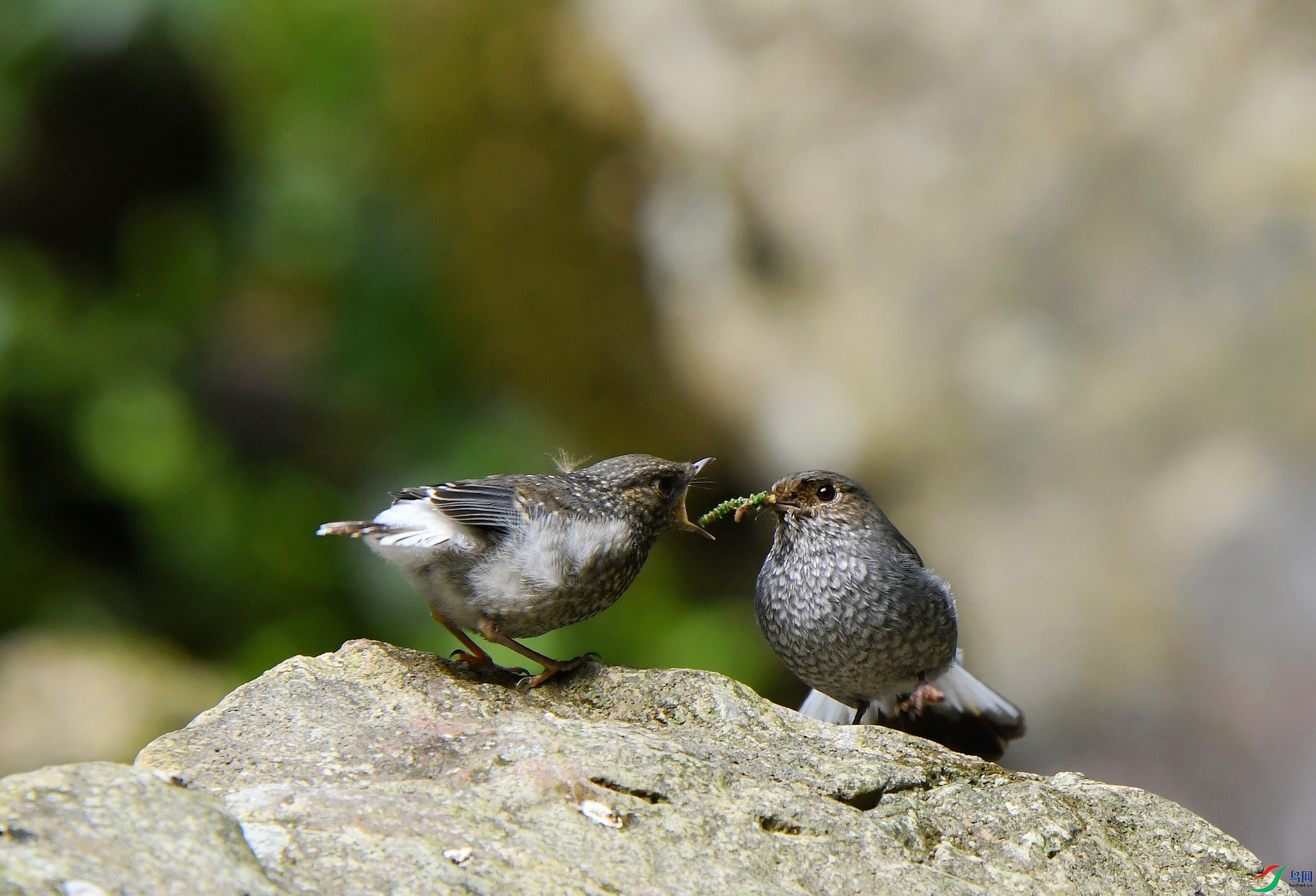 DSC_7719.jpg