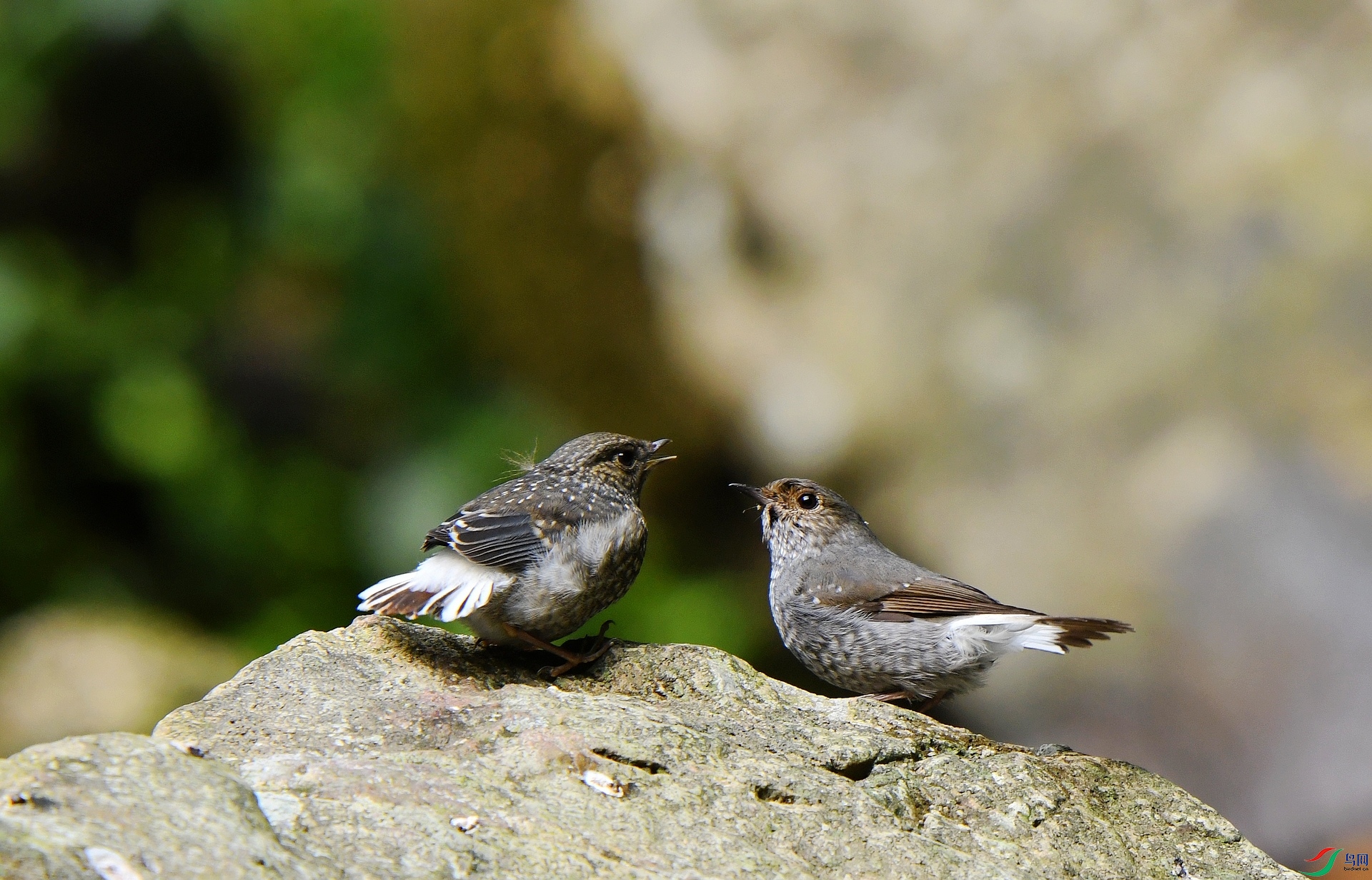 DSC_7725.jpg