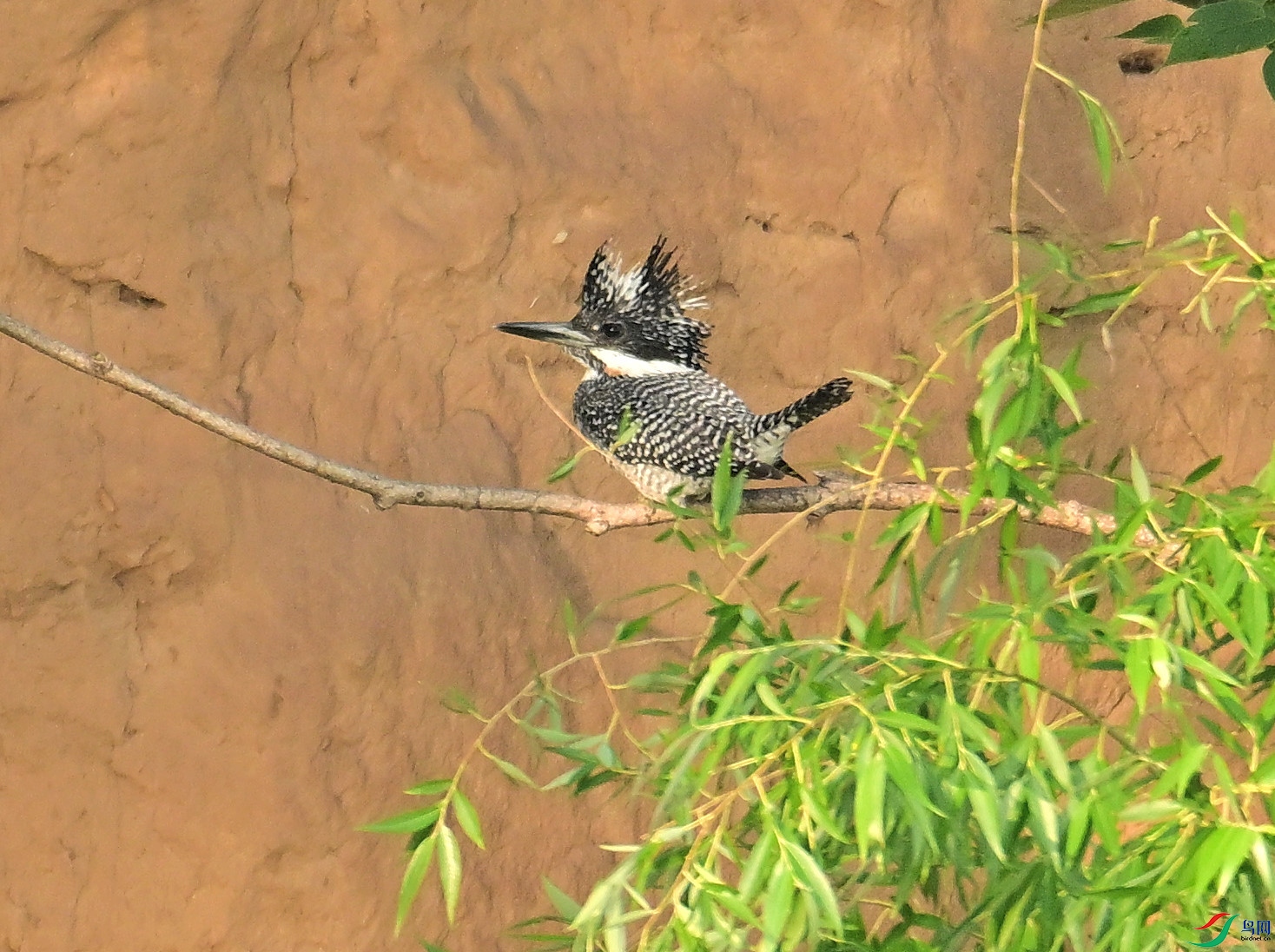 DSC_0871.JPG