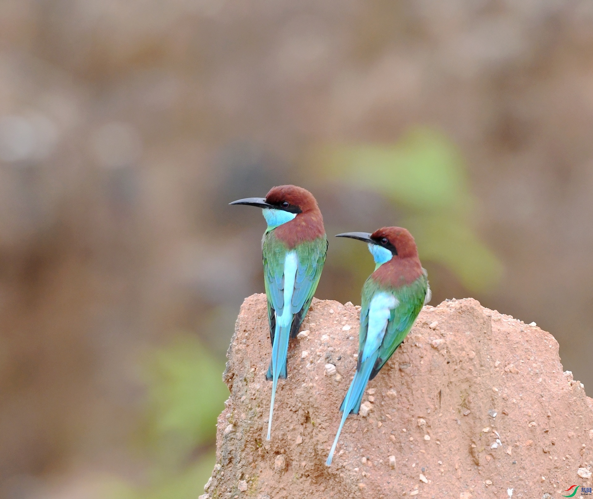 DSC_0608.jpg