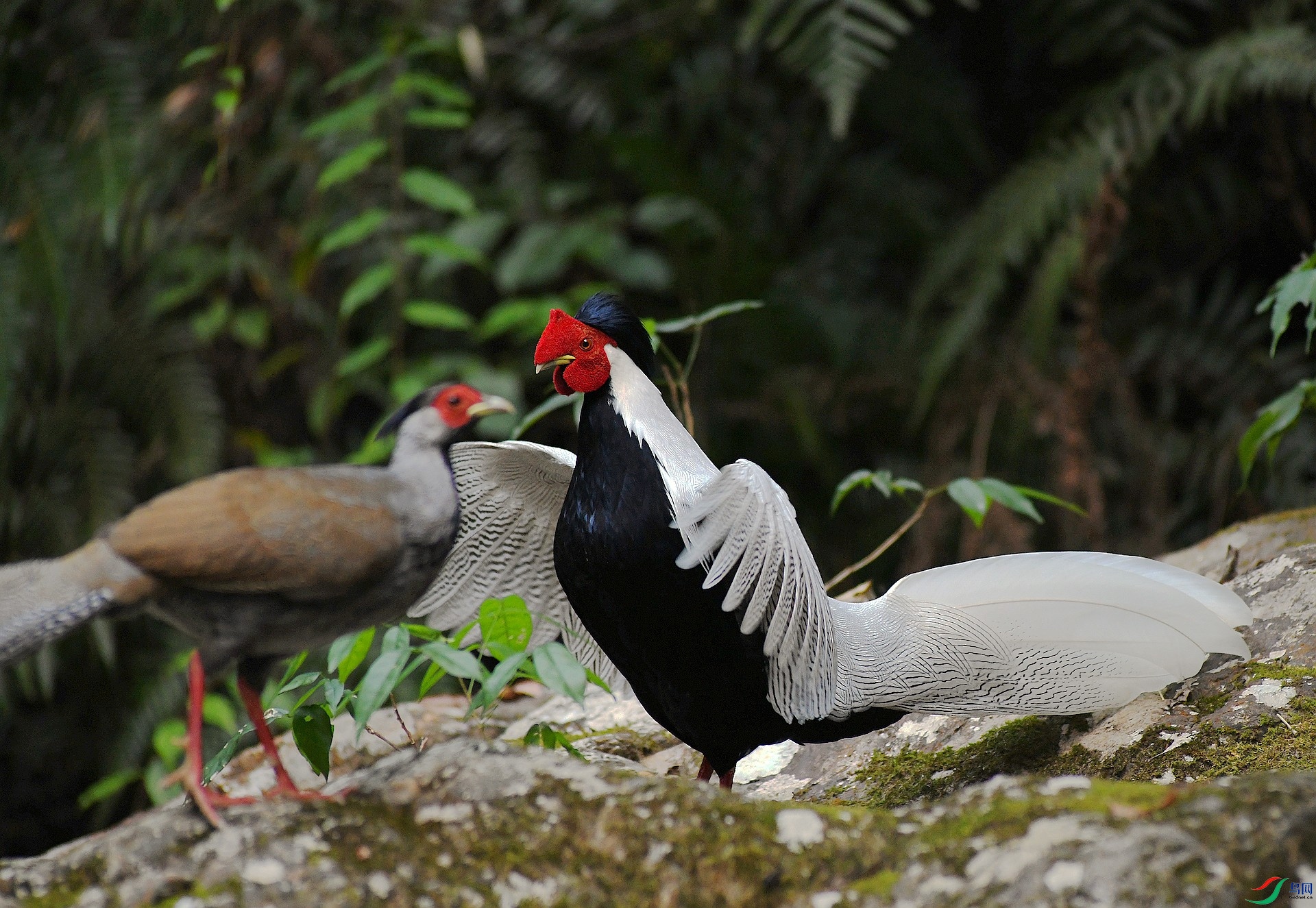 DSC_9113.jpg