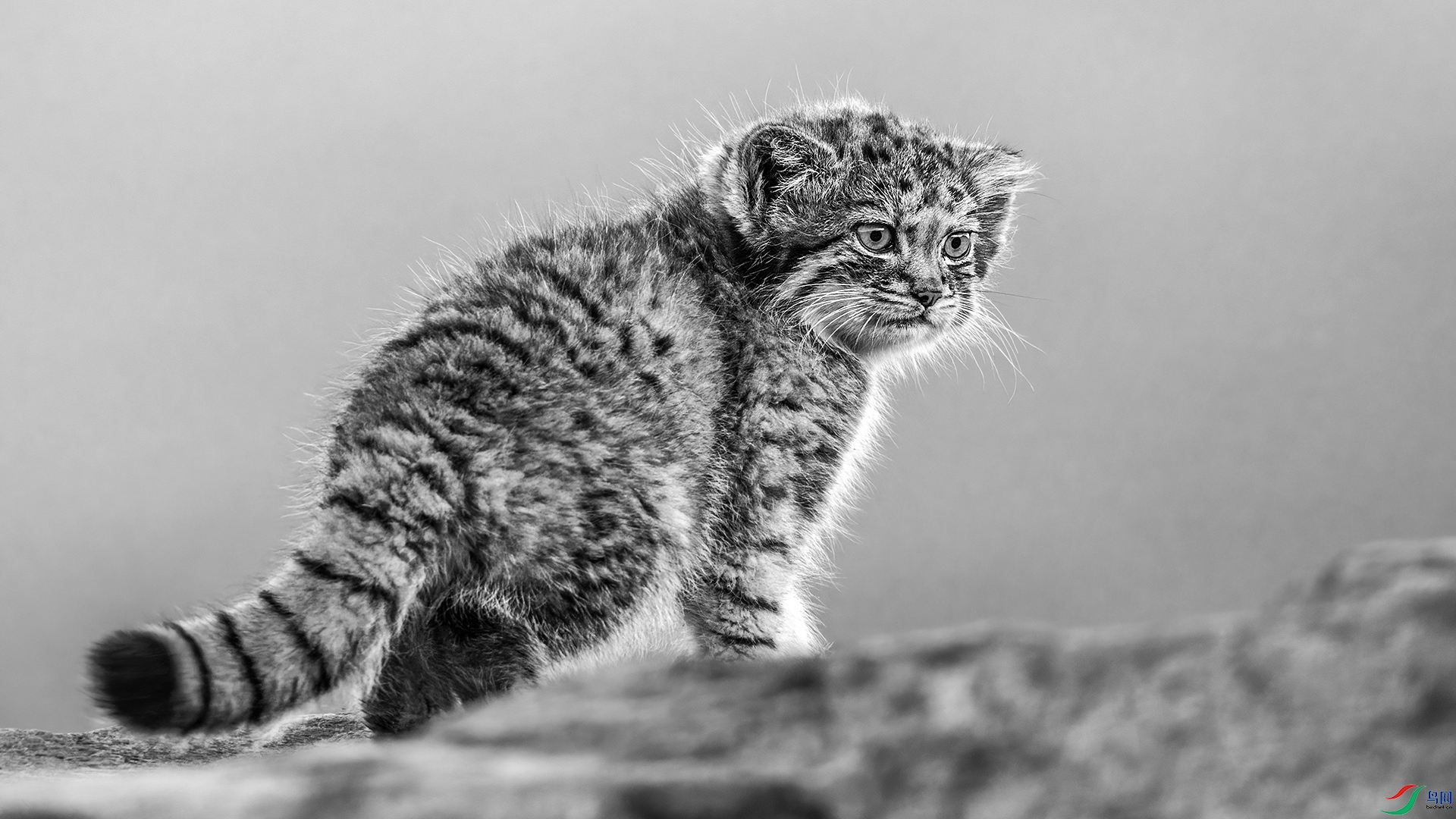 ����0106����-1.jpg