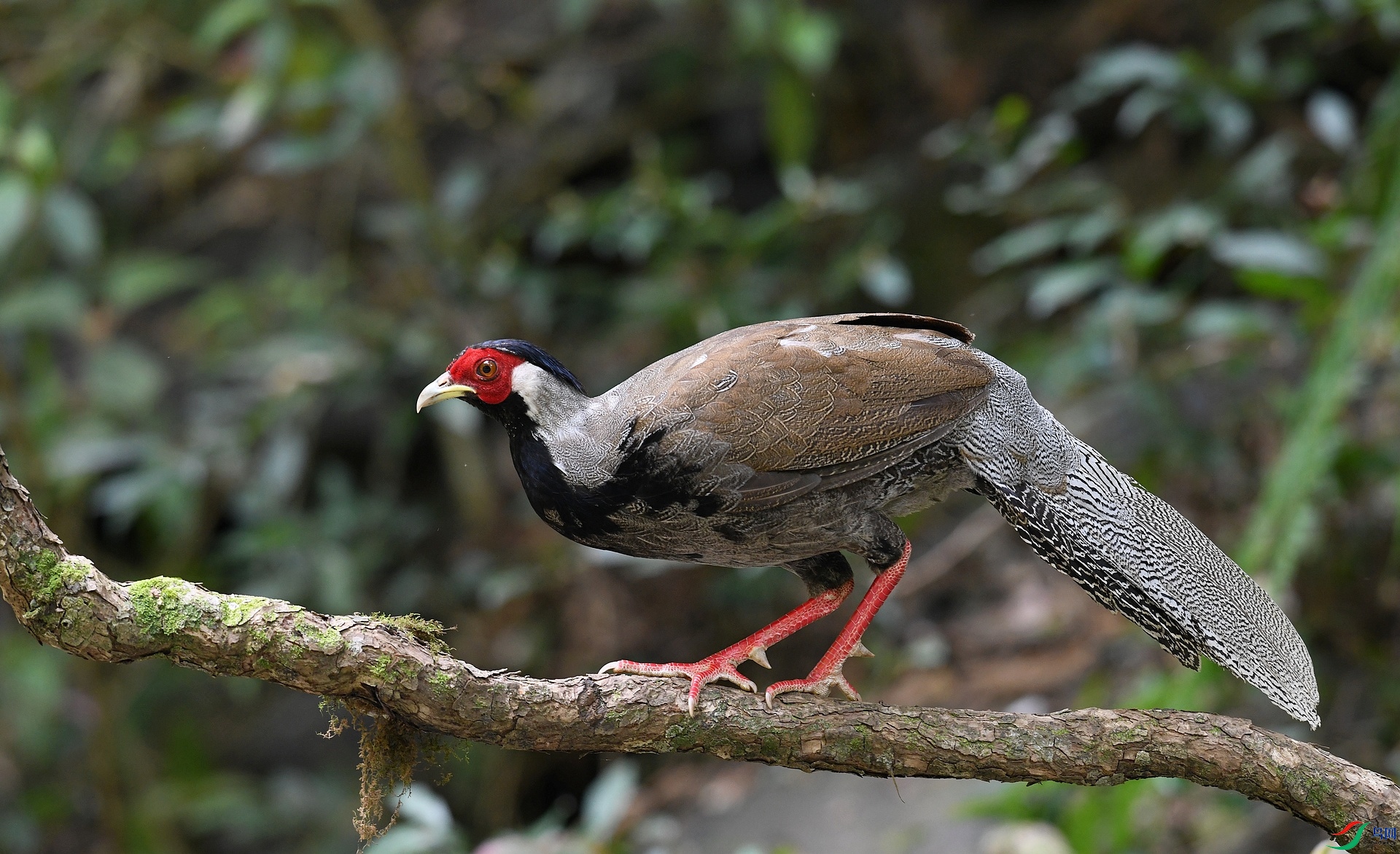 DSC_5563.jpg