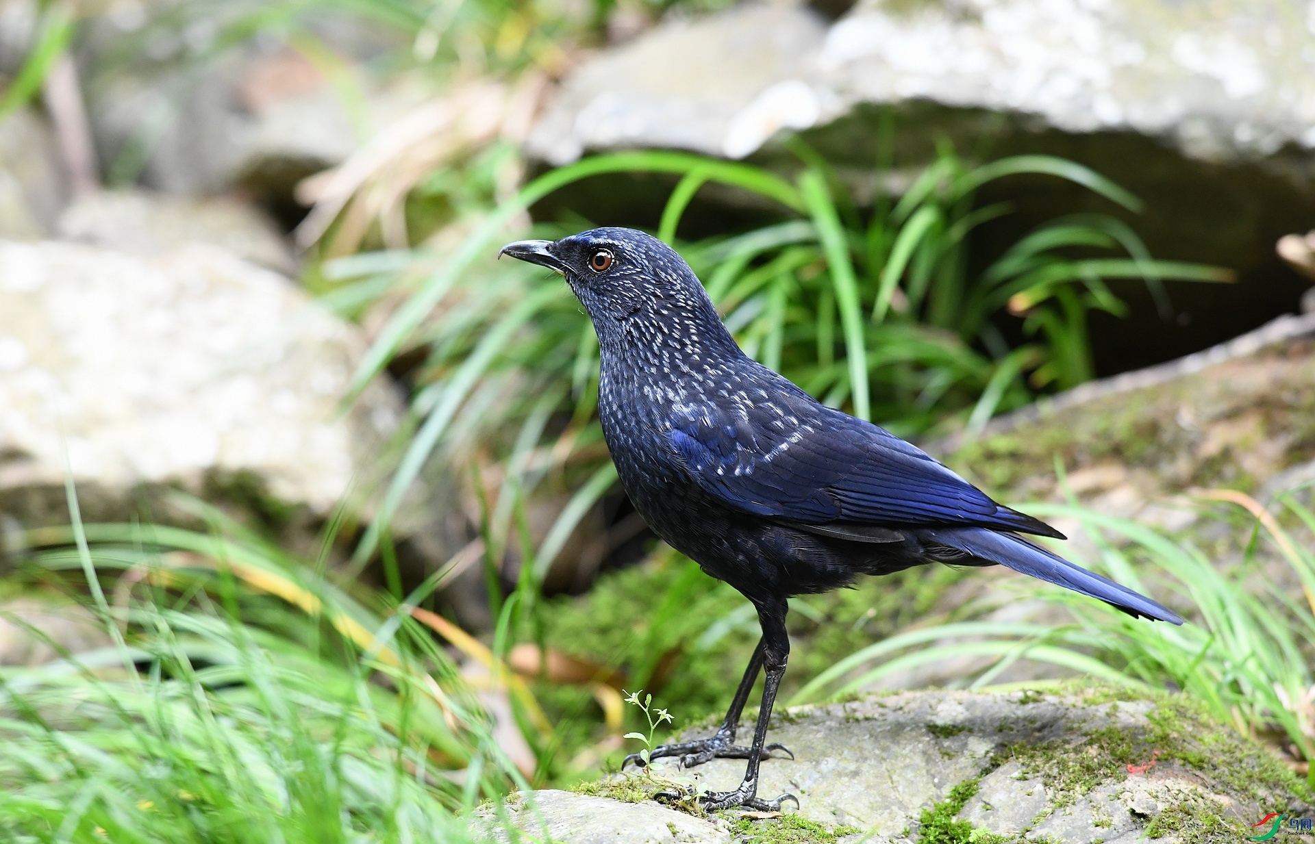 DSC_5730.jpg