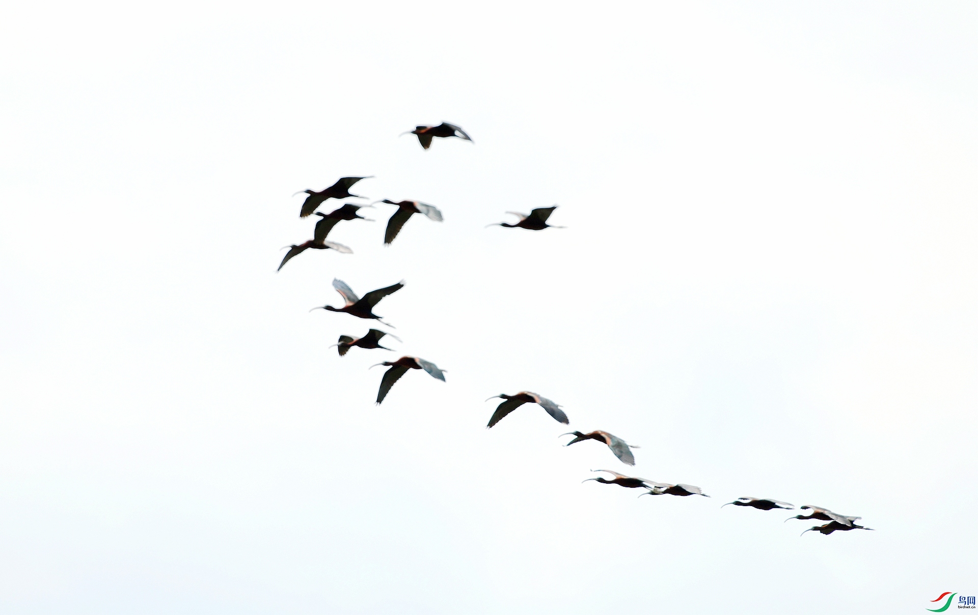 DSC_9541.jpg