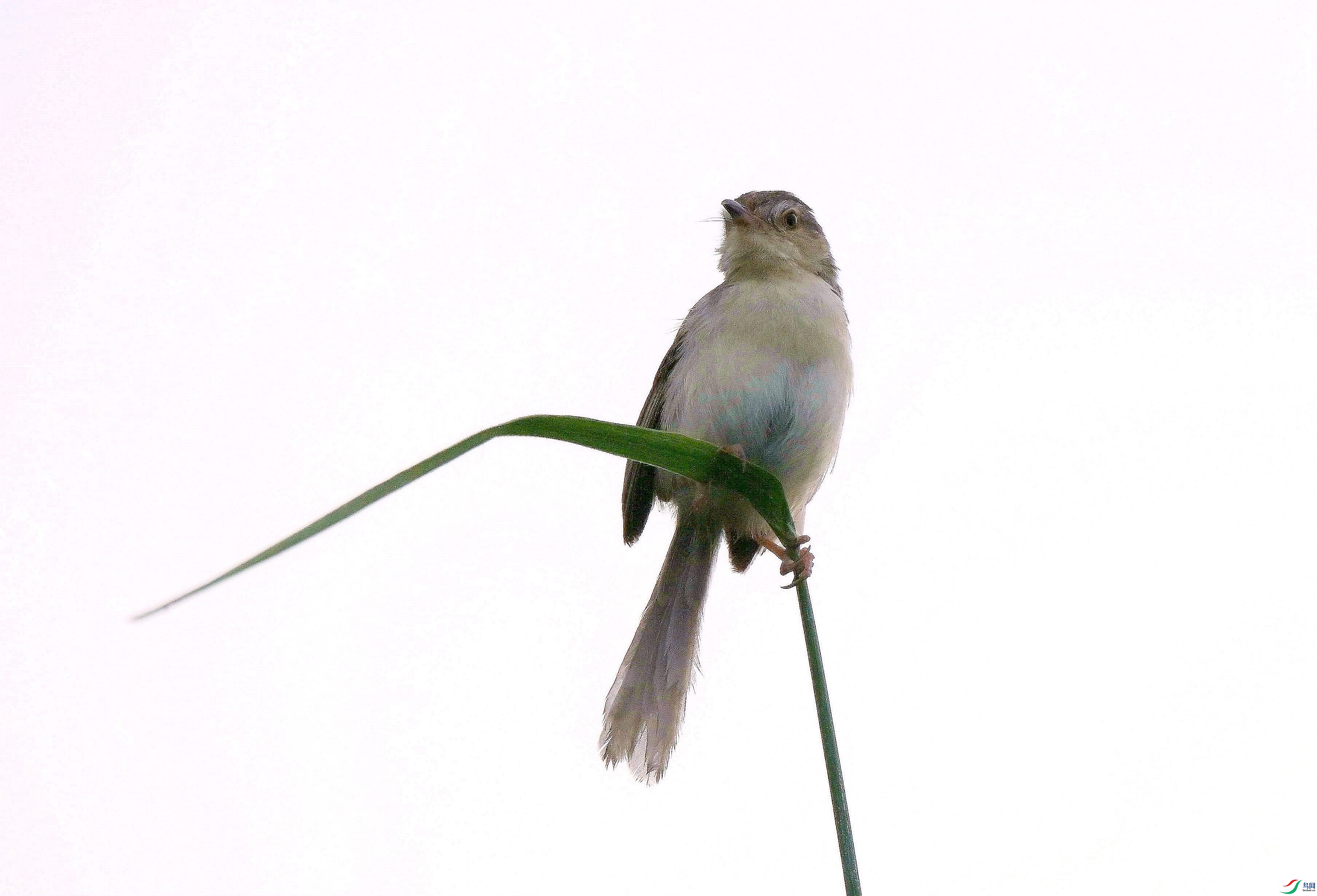 DSC_6237.jpg