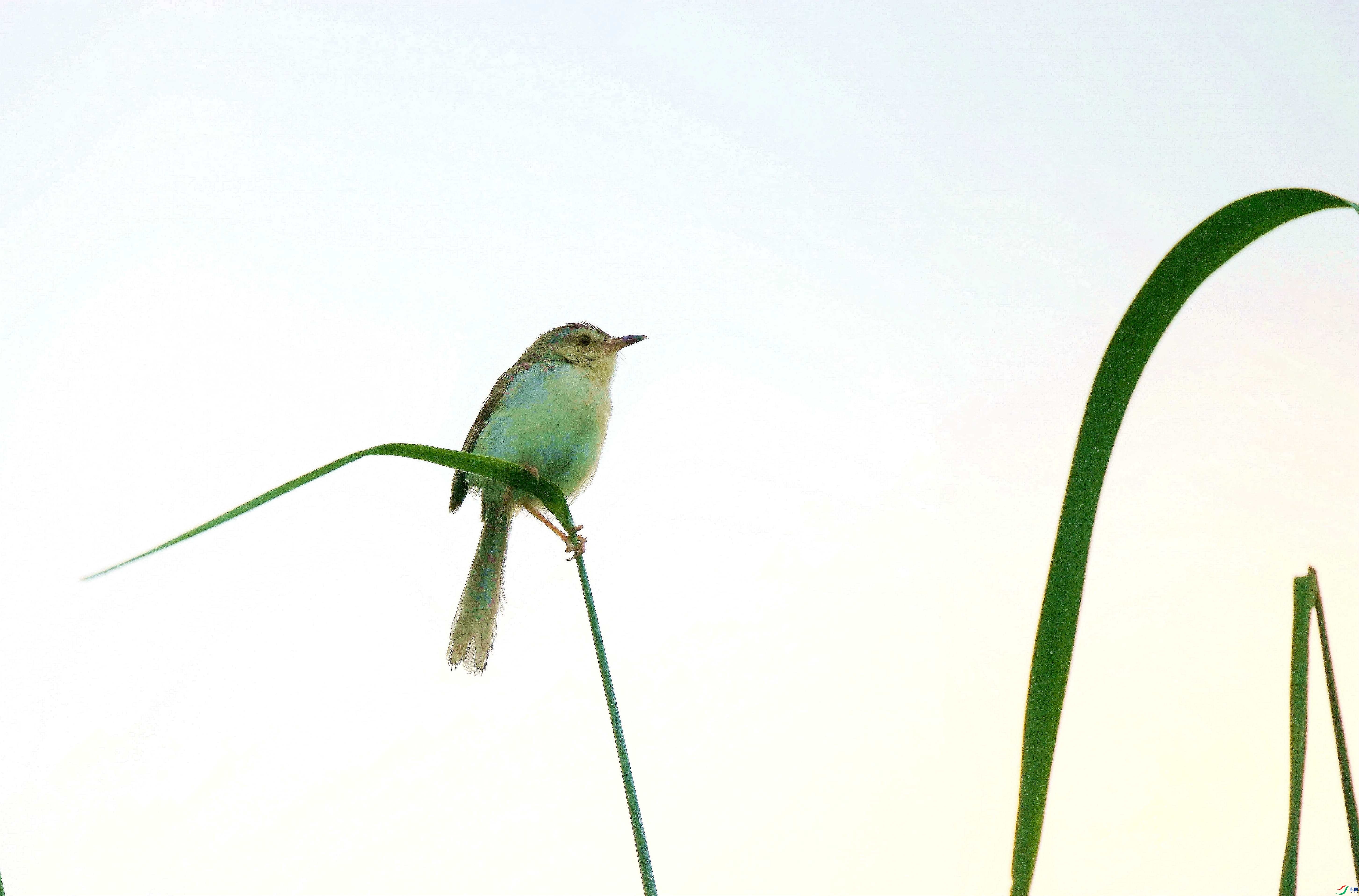 DSC_6252.jpg