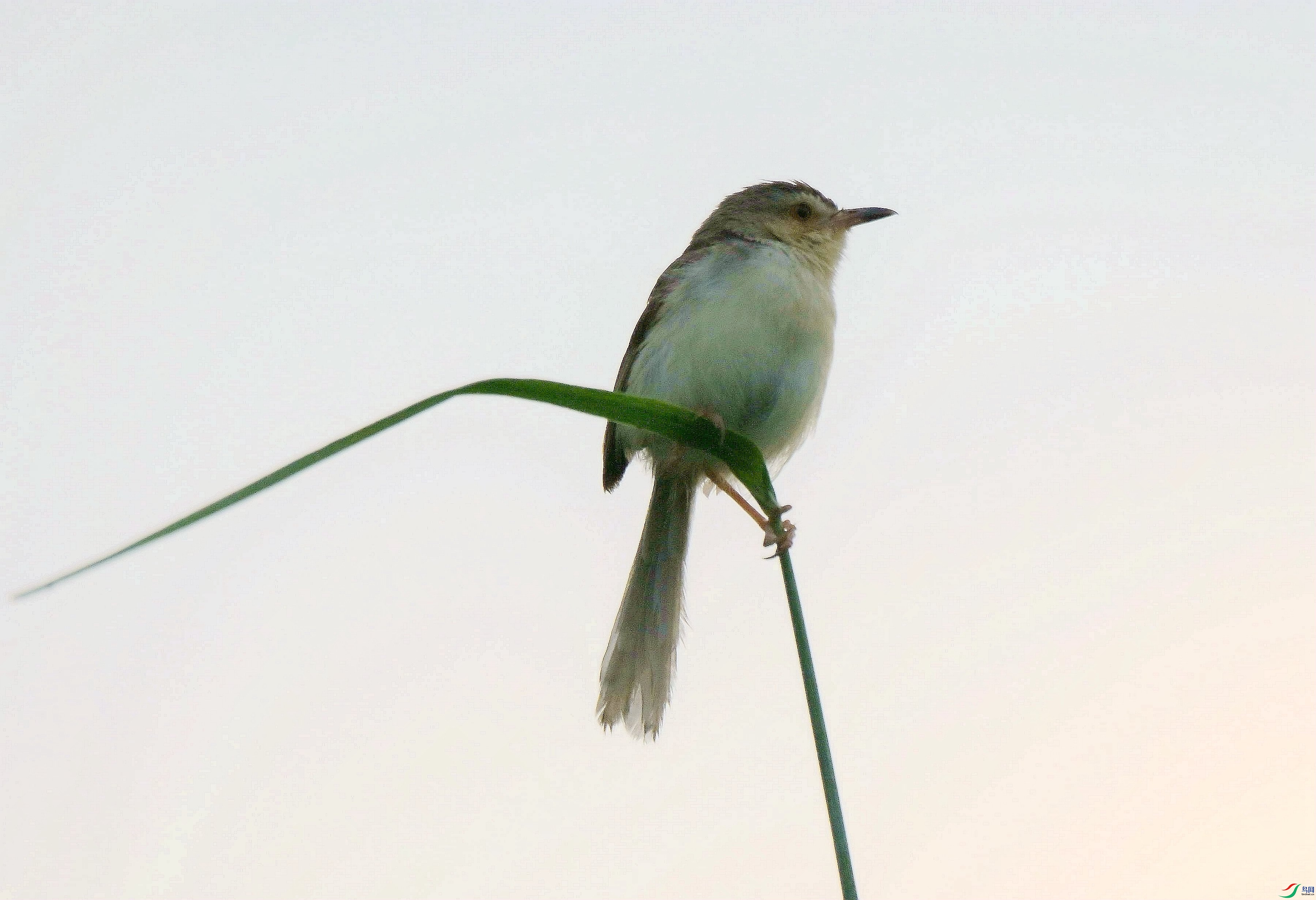 DSC_6247.jpg
