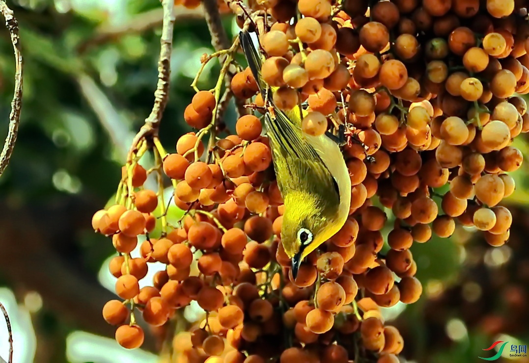 BK2A8111.JPG