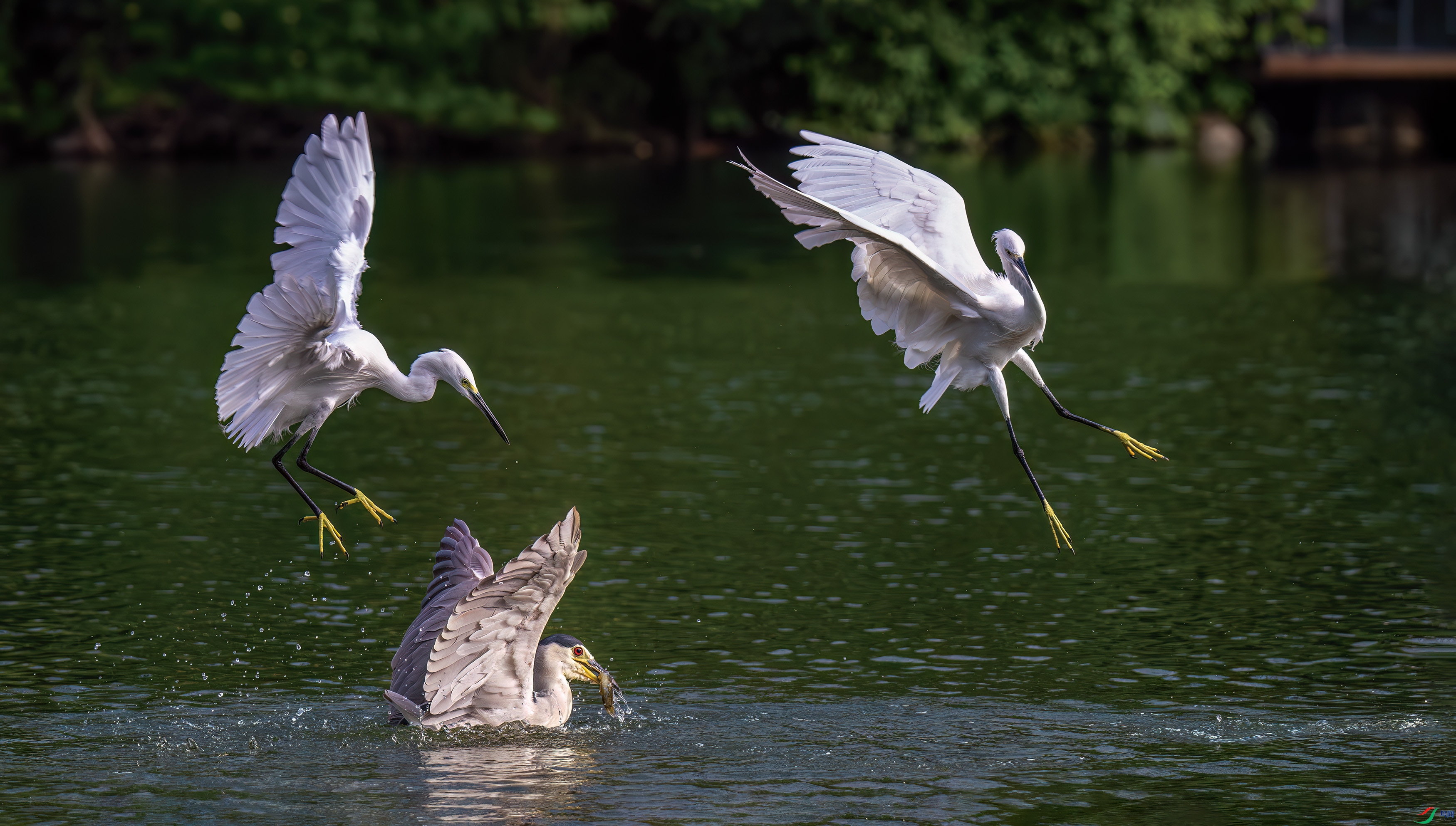 DSC_7563.jpg