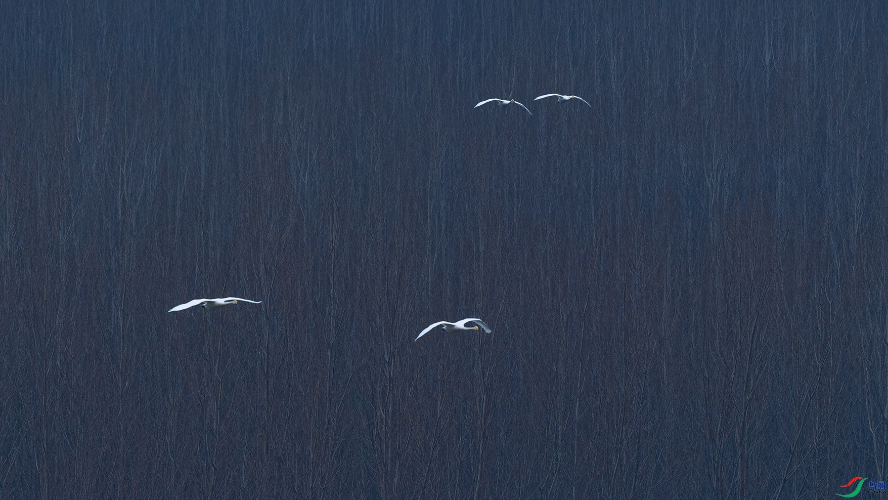DSC_5332_DxOa.jpg
