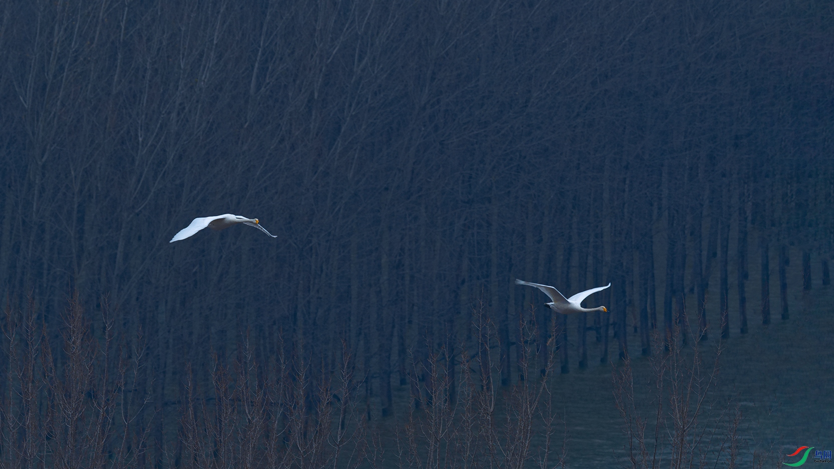 DSC_5355_DxOa.jpg