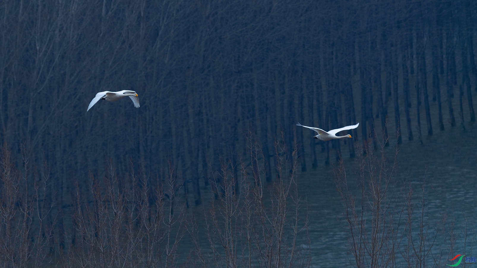 DSC_5356_DxOa.jpg