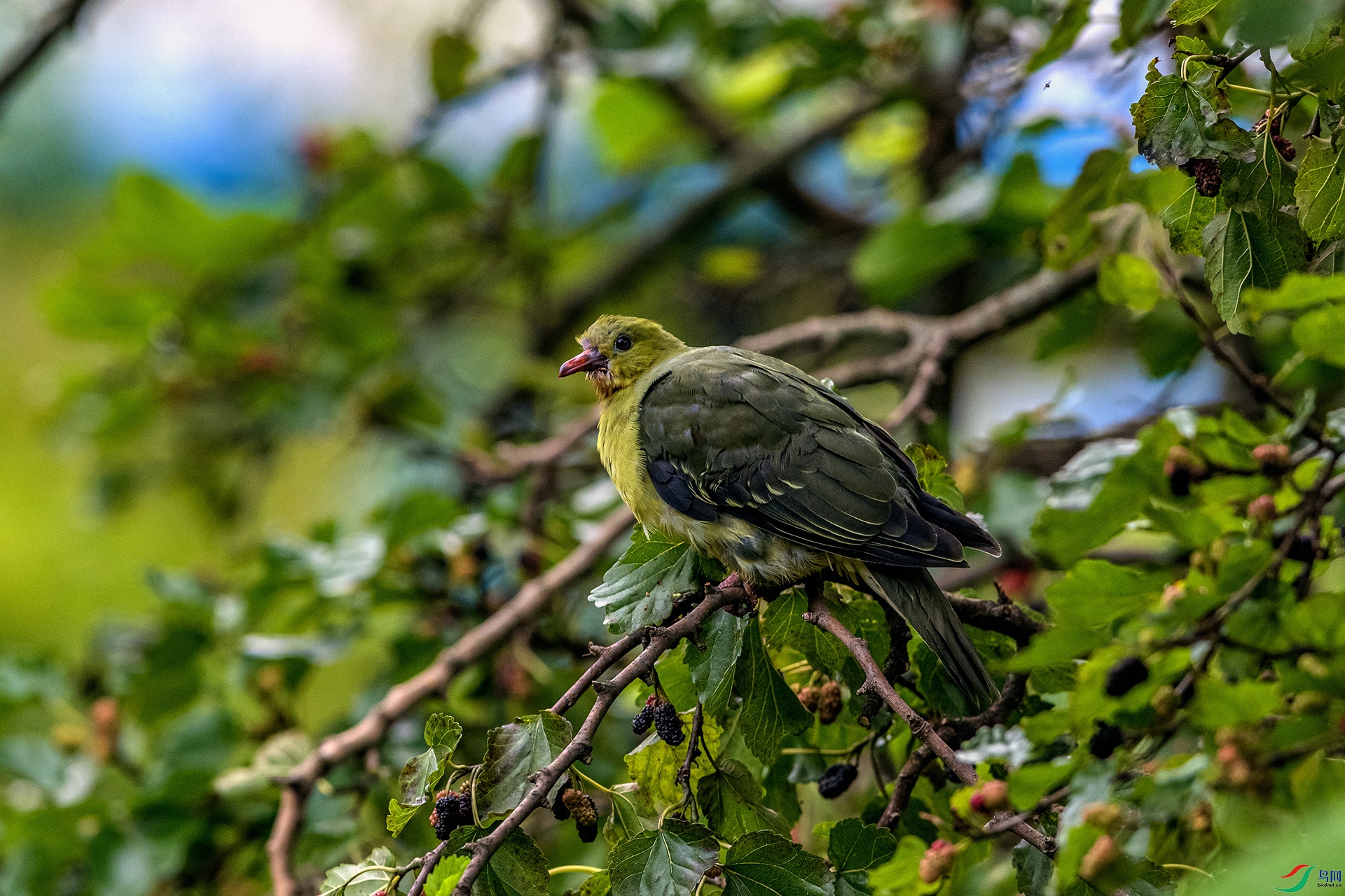 _AUU7141Шβ���(25.7.8).jpg