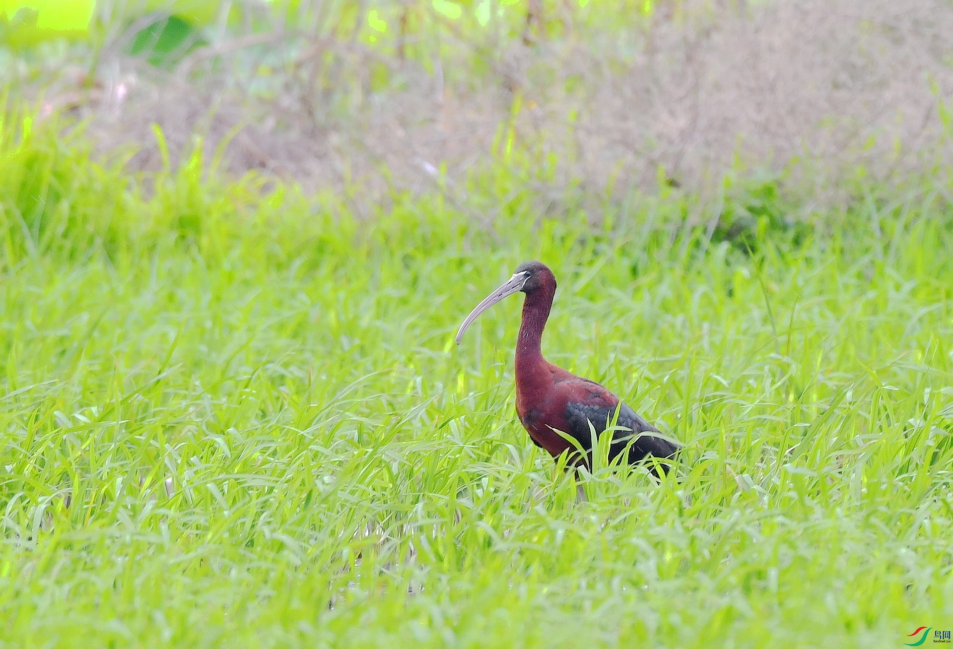 DSC_9936.jpg