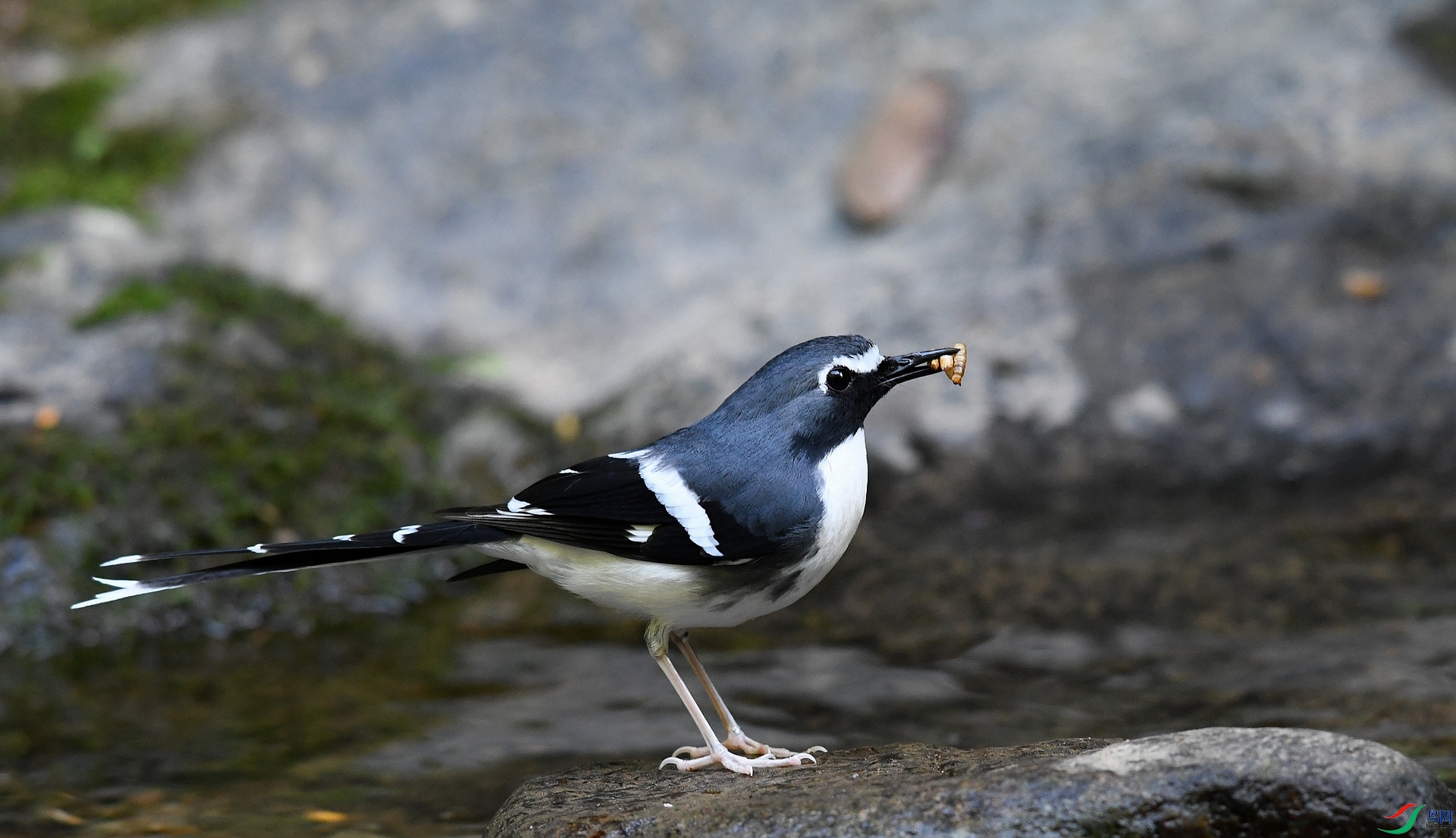 DSC_3643.jpg