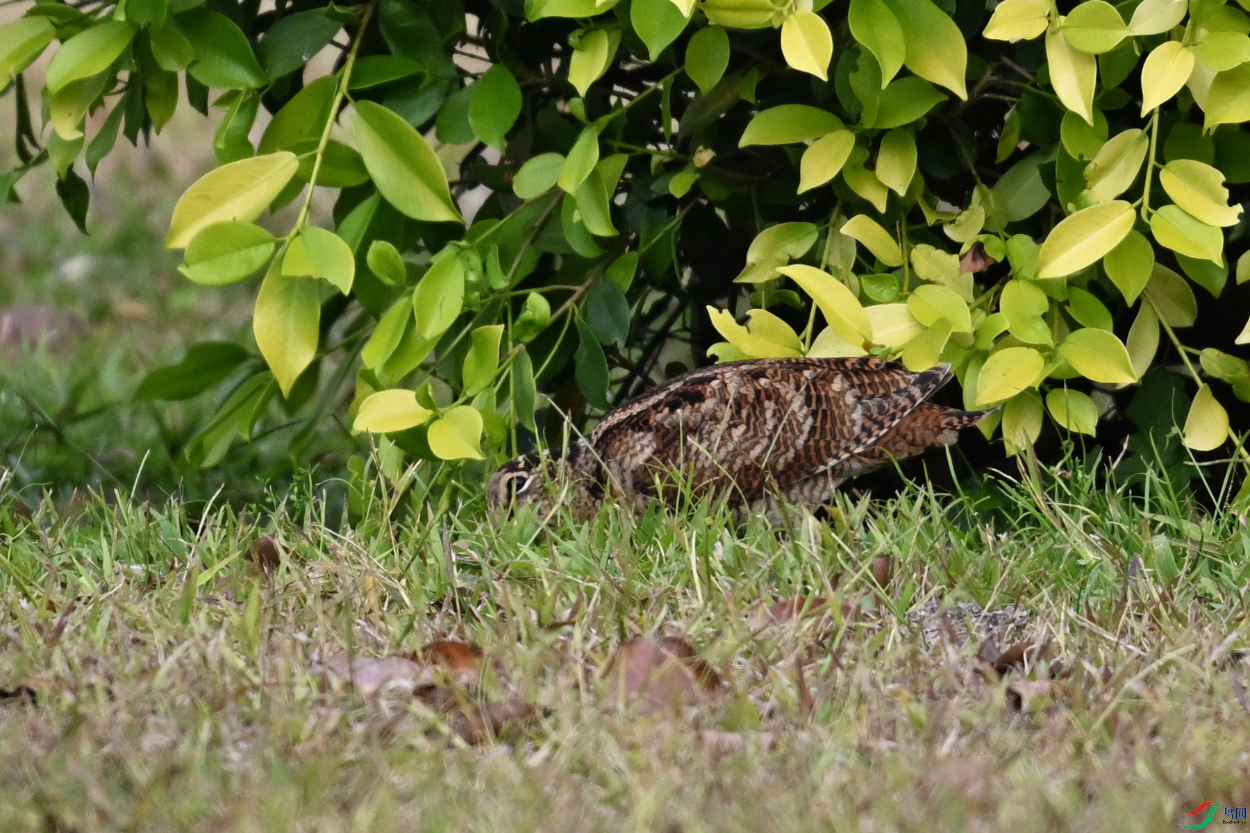 DSC_8361.JPG