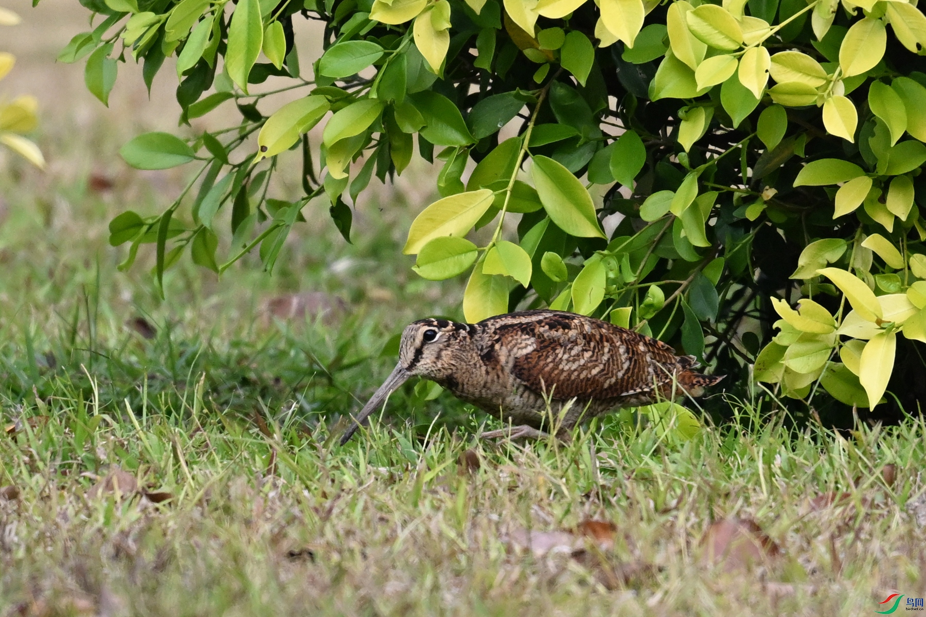 DSC_8364.JPG