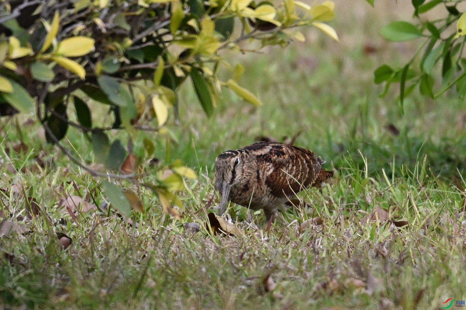 DSC_8379.JPG