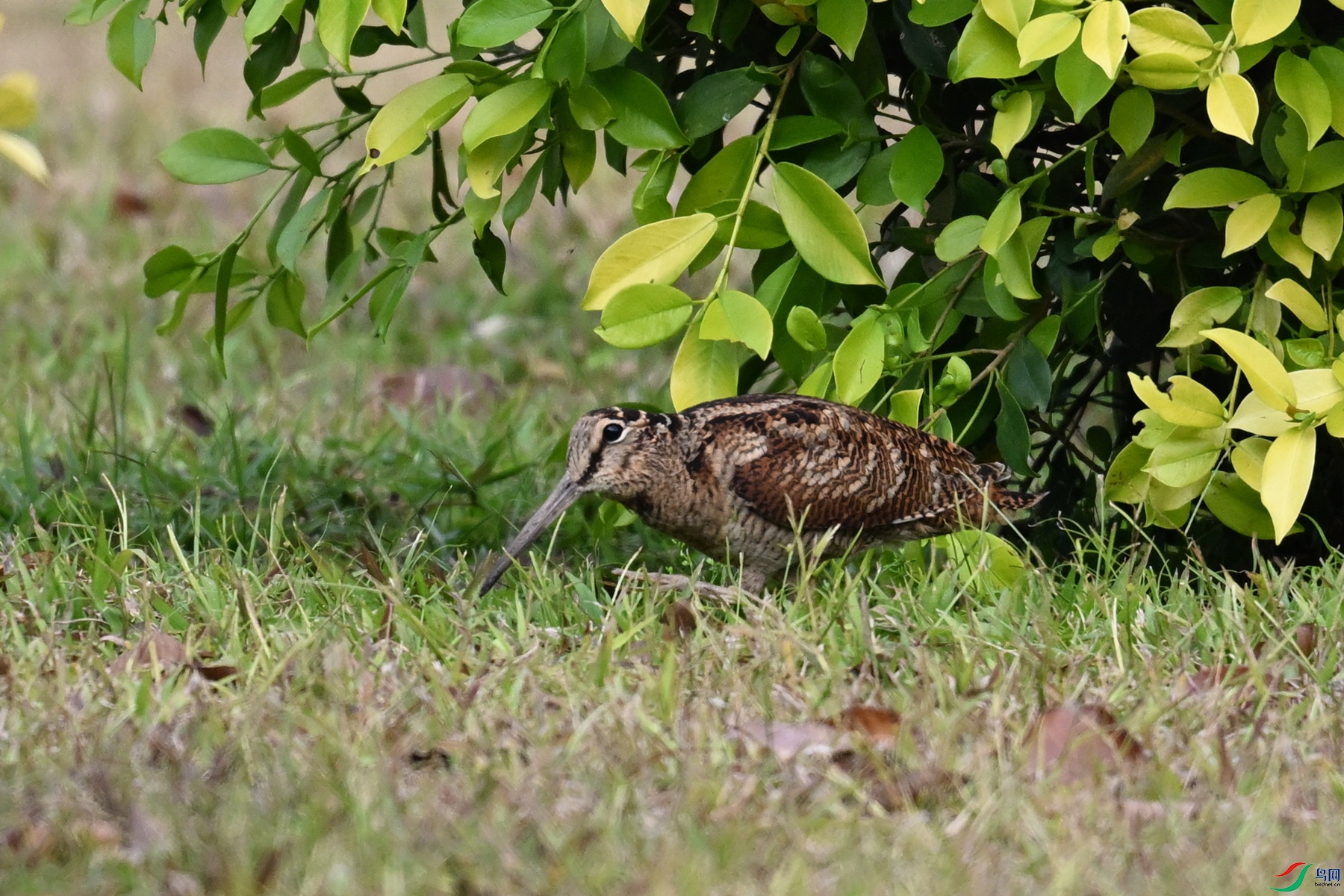 DSC_8365.JPG
