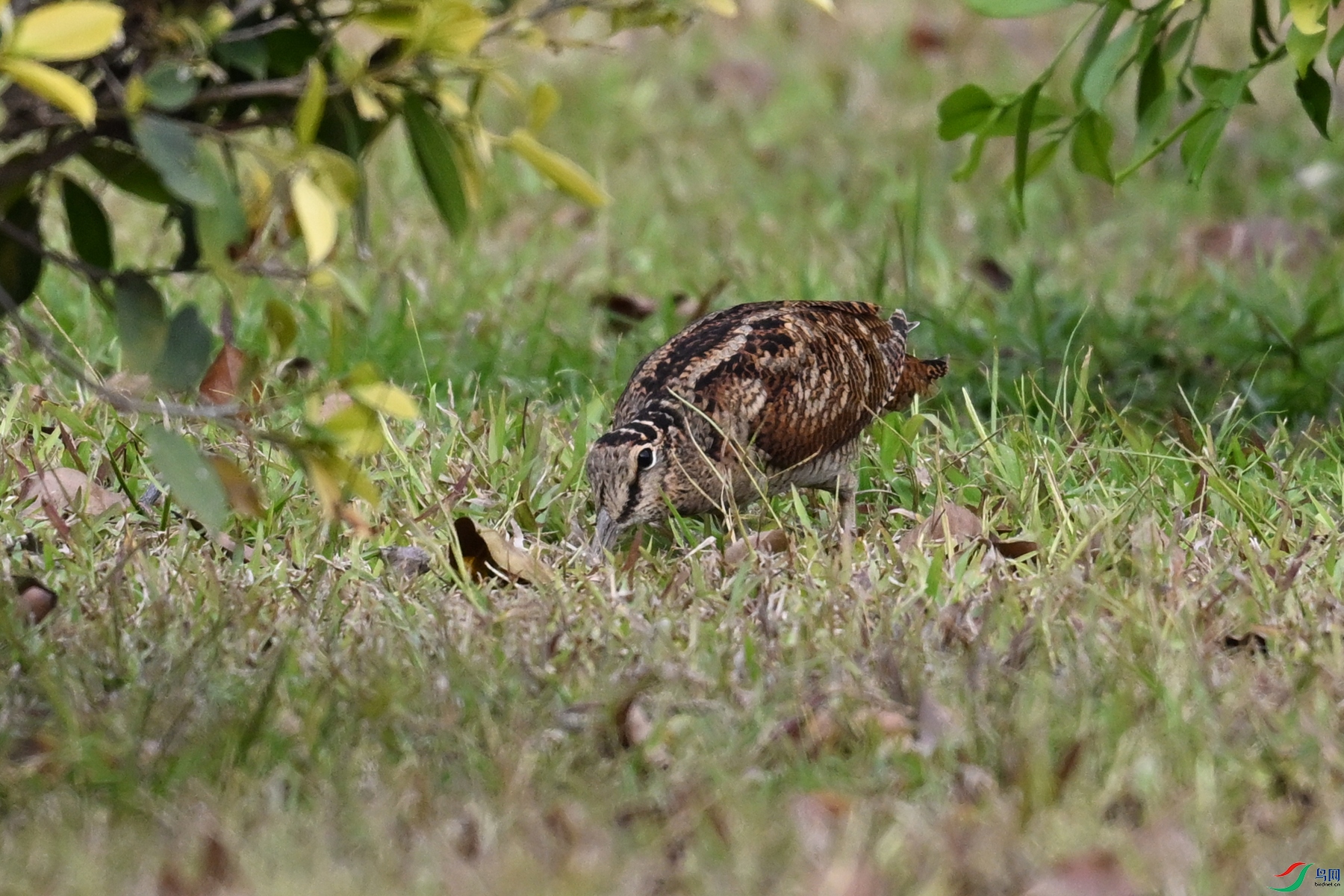 DSC_8376.JPG