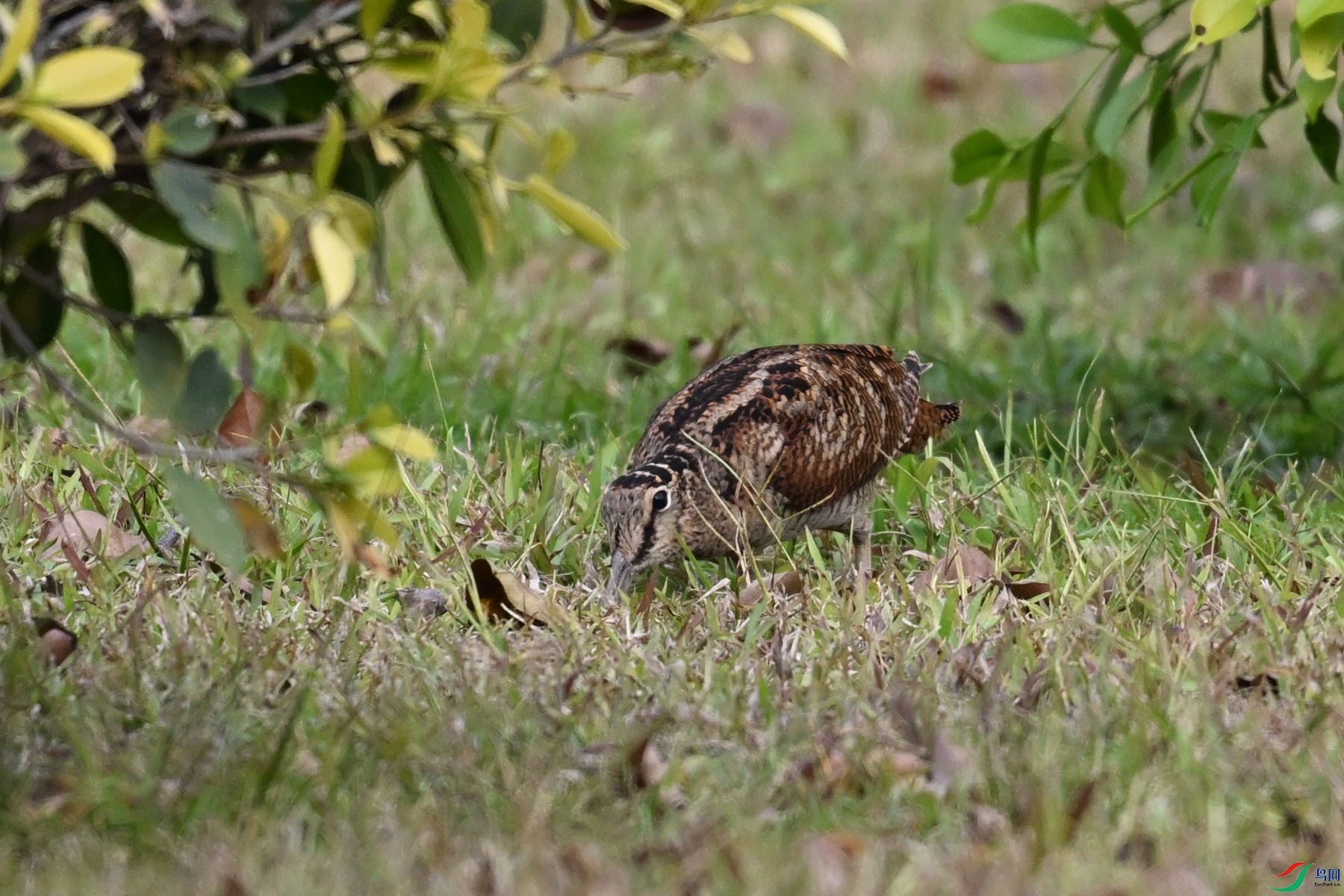 DSC_8378.JPG