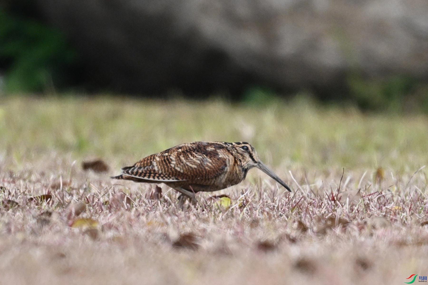 DSC_8344.JPG